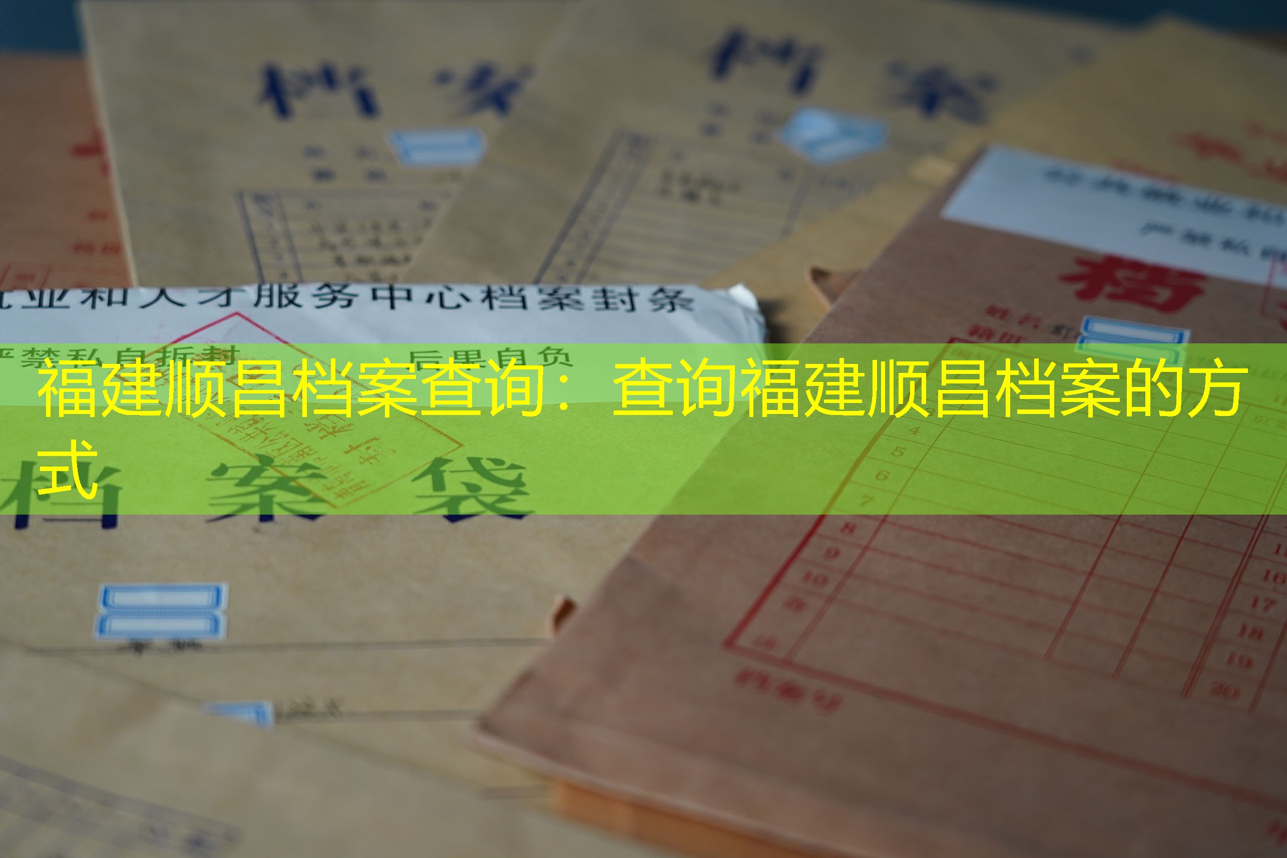 档案查询