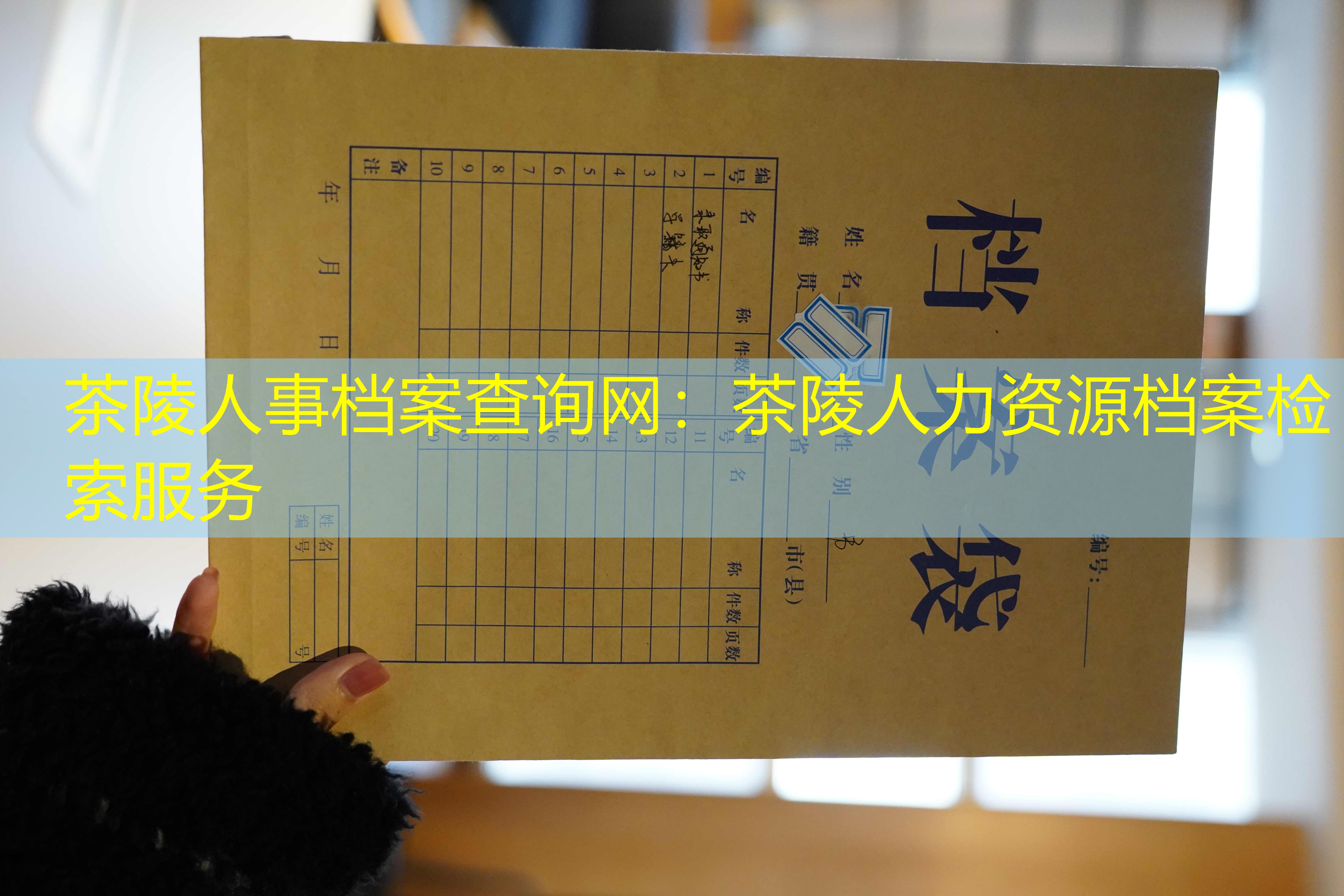 档案查询