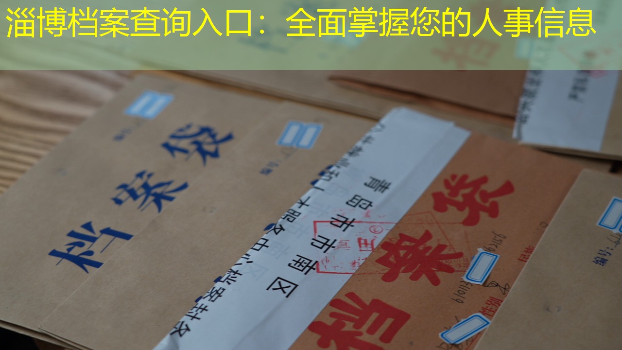 档案查询