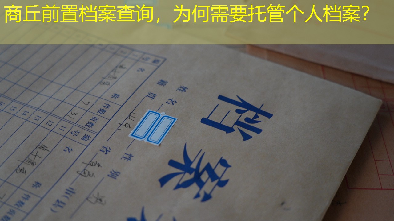 档案查询