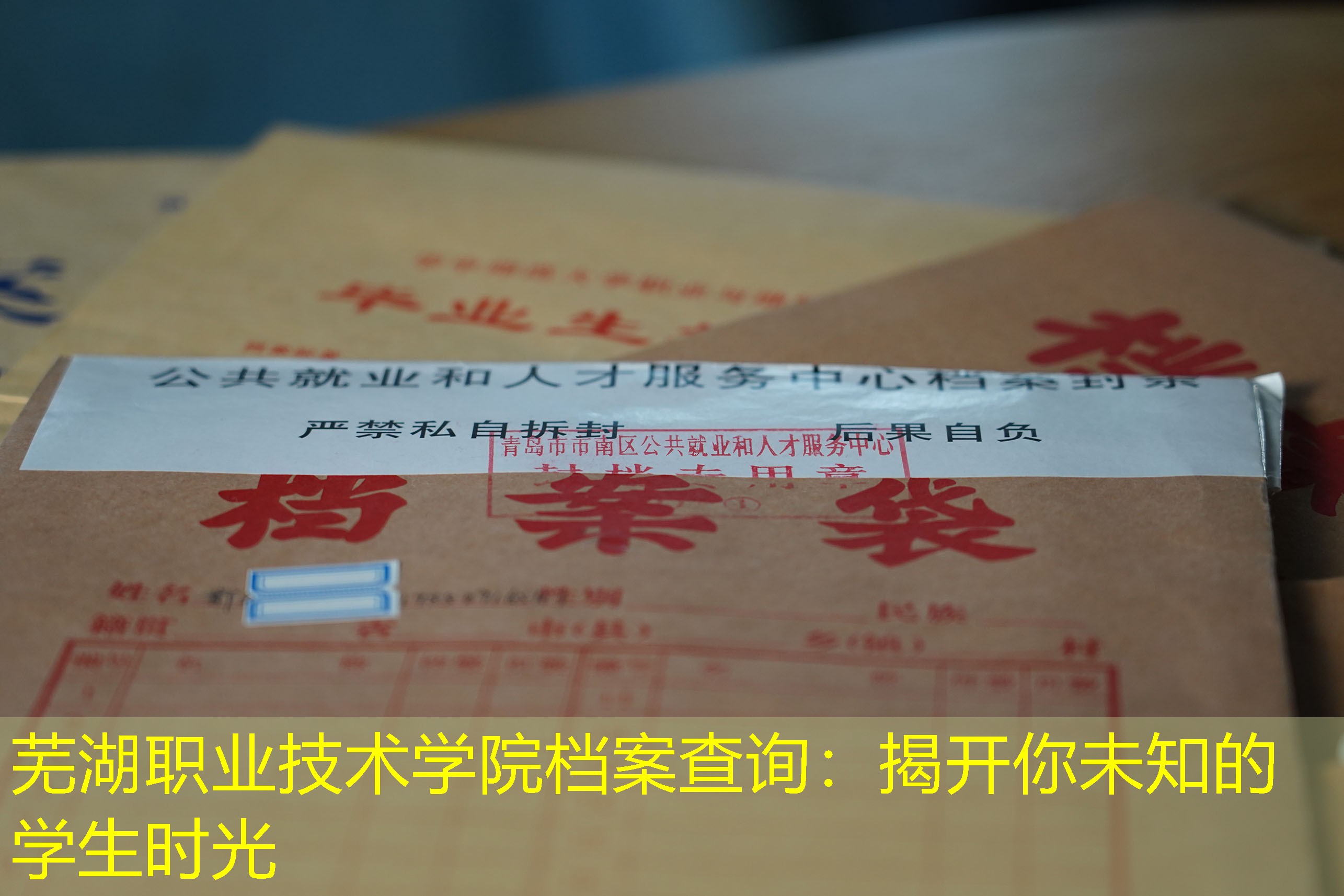 档案查询
