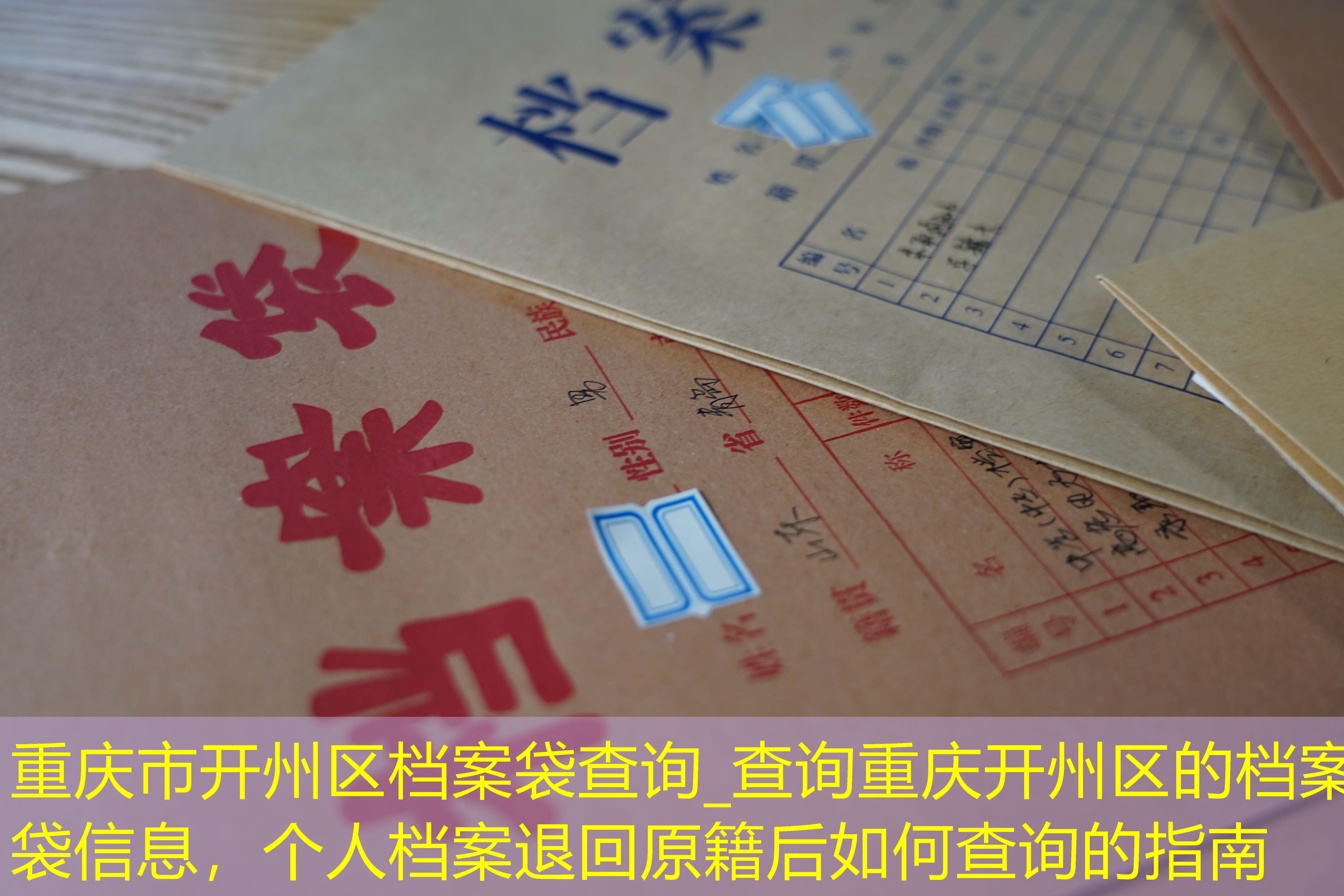 档案查询
