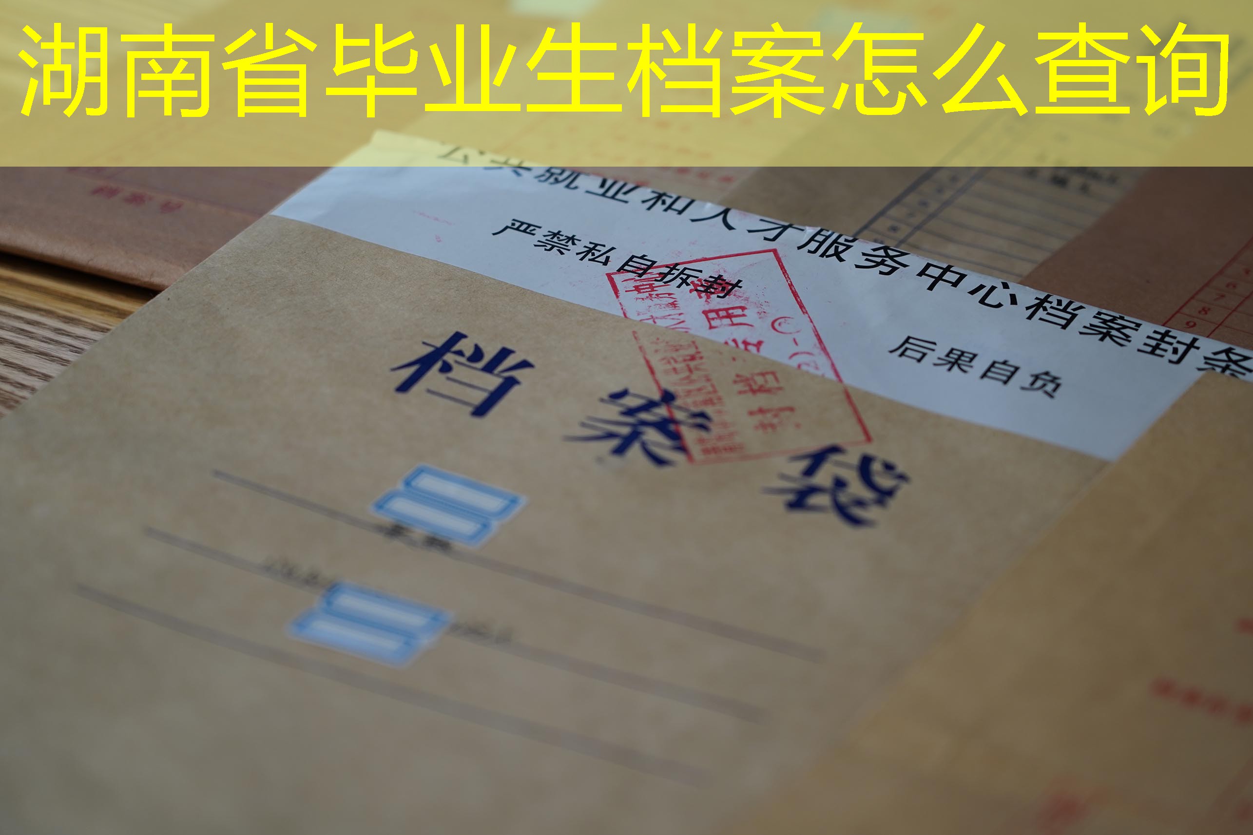 档案查询