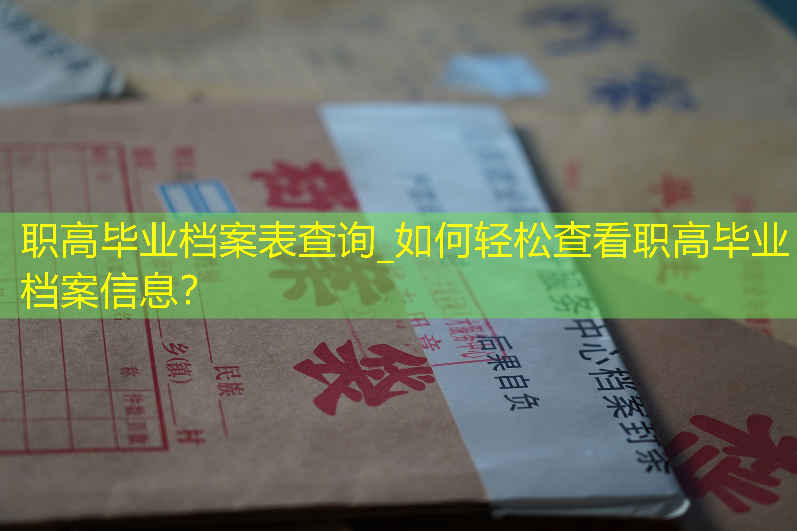 档案查询