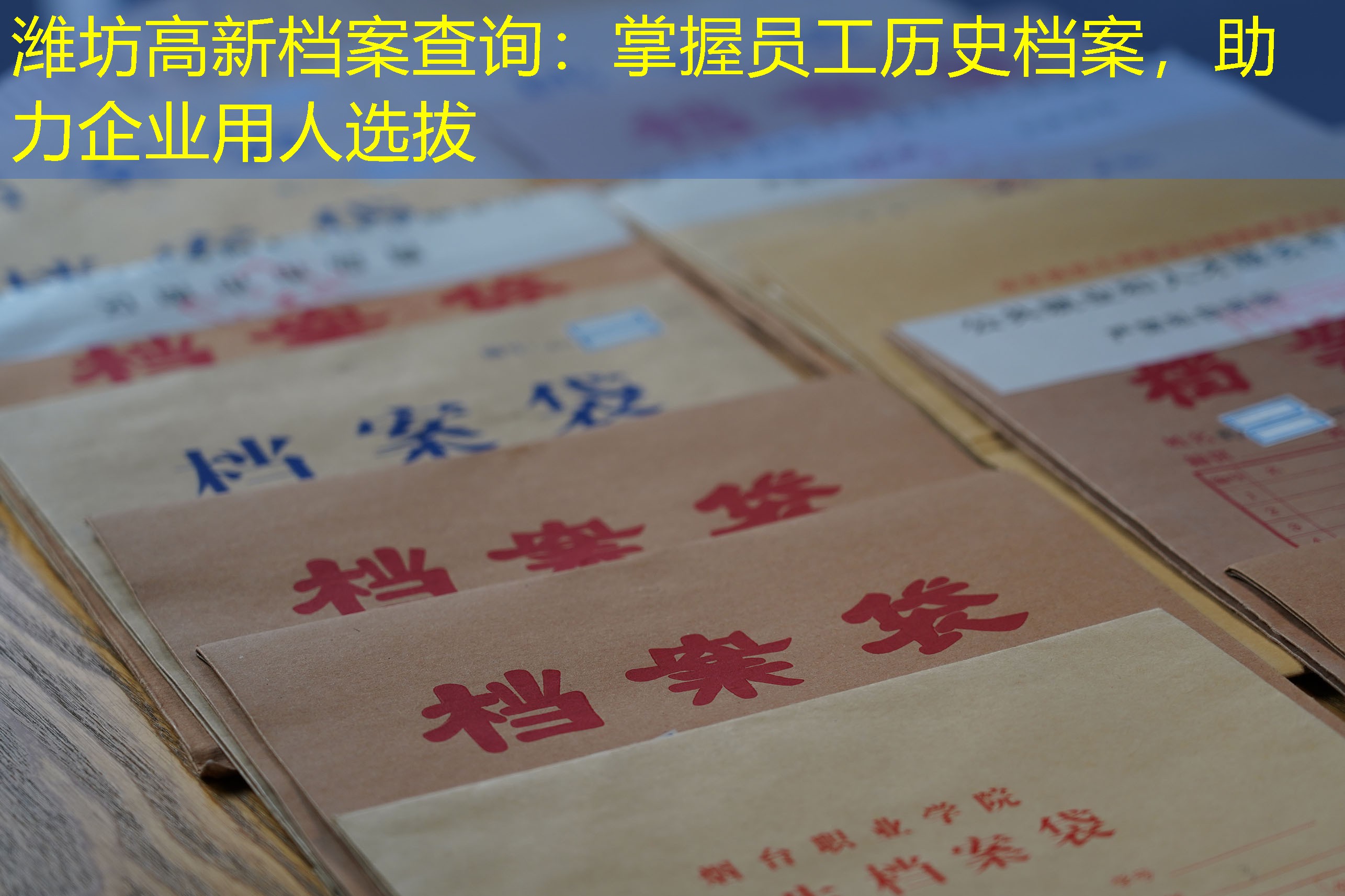 档案查询