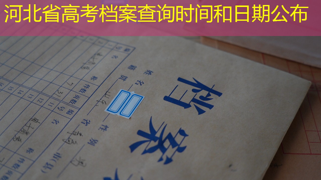 档案查询