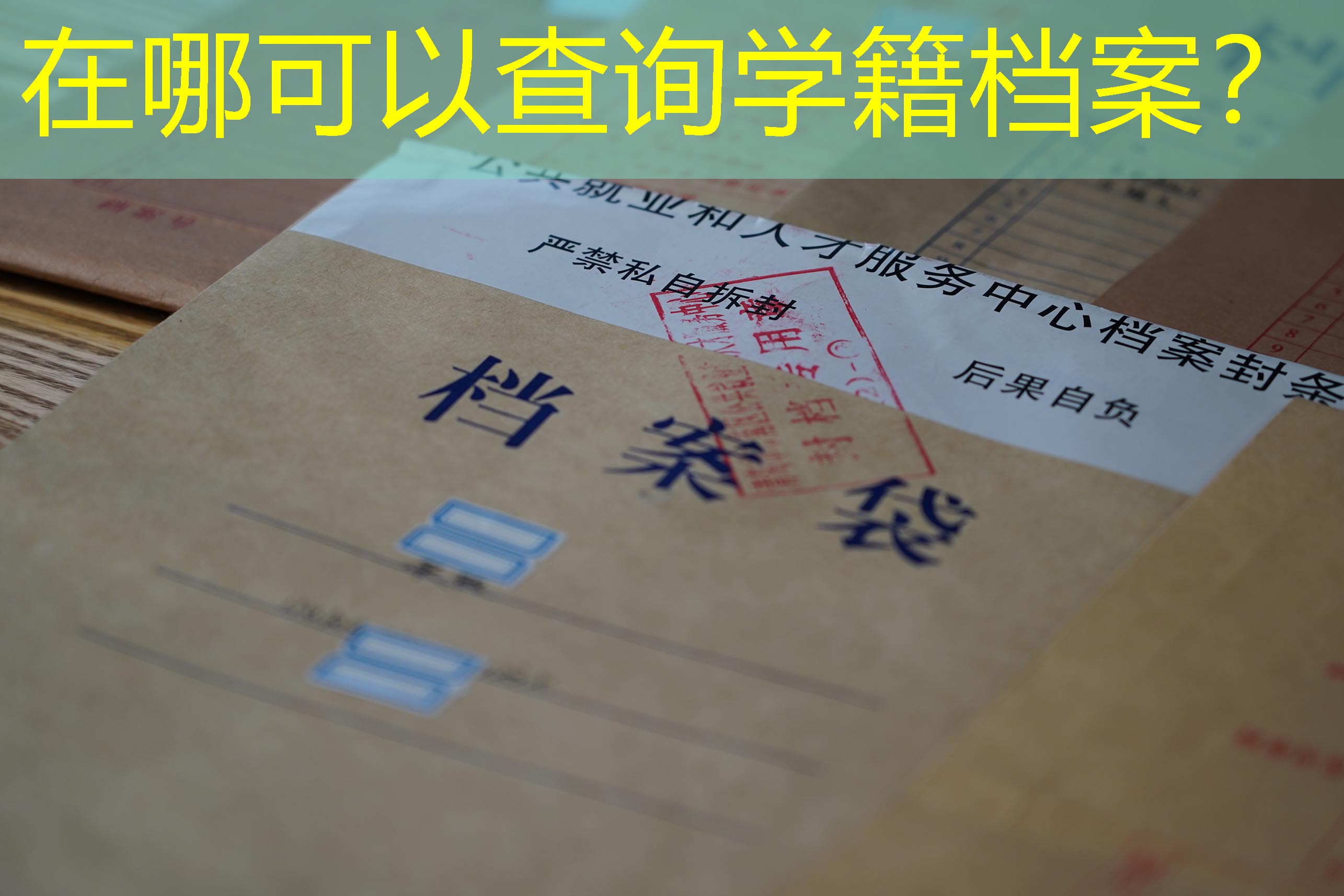档案查询