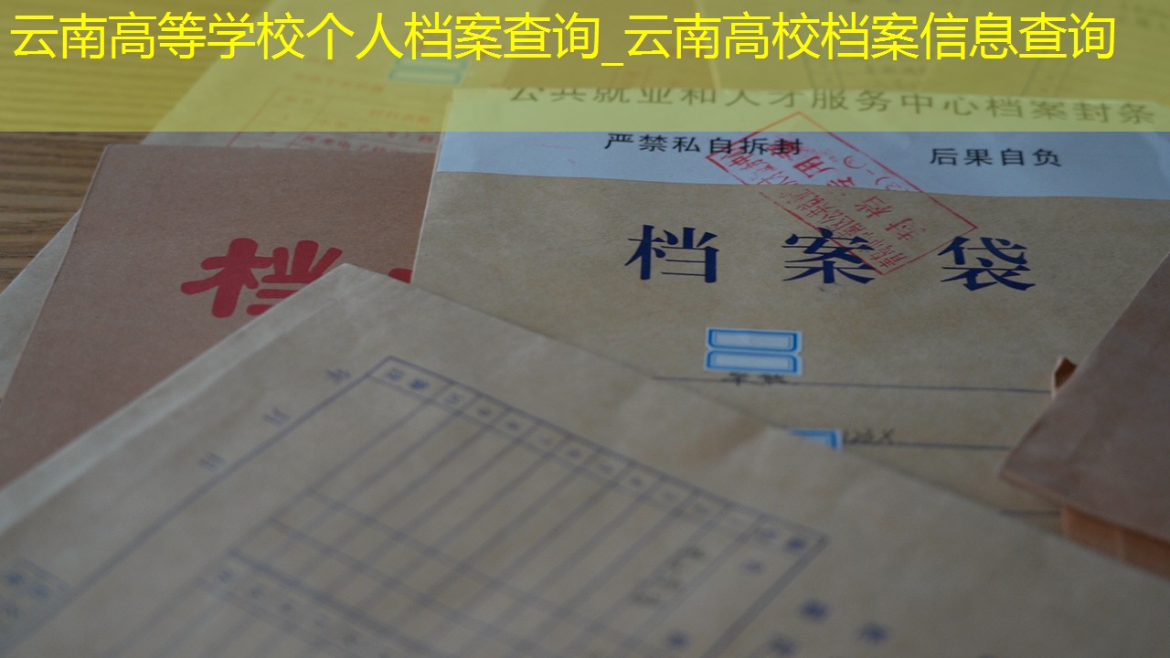 档案查询