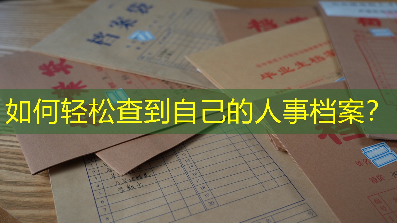 档案查询