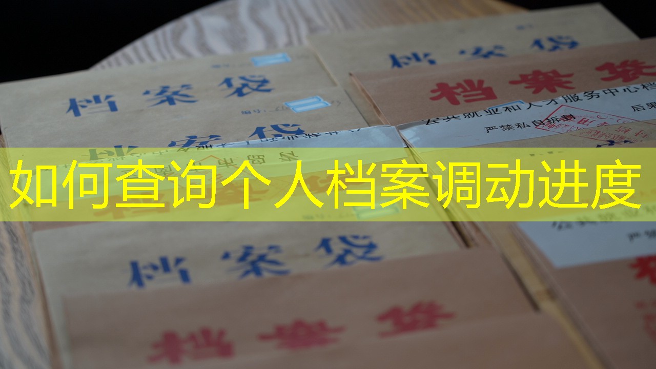 档案查询
