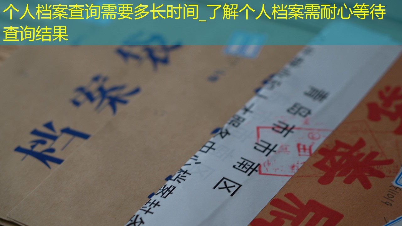 档案查询