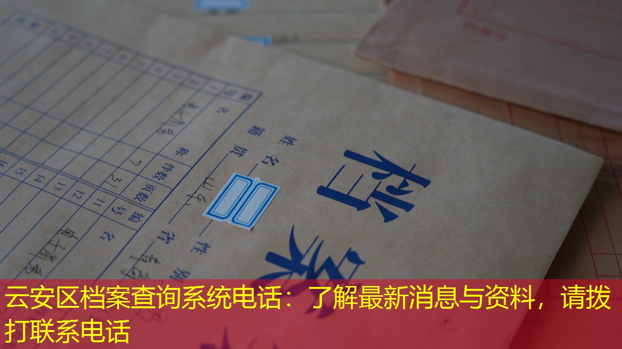 档案查询