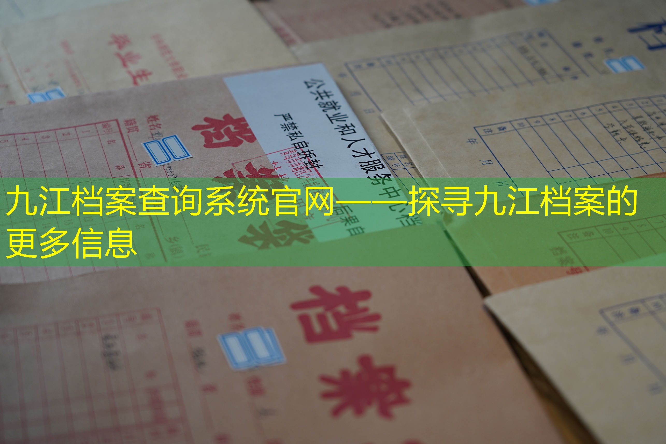 档案查询