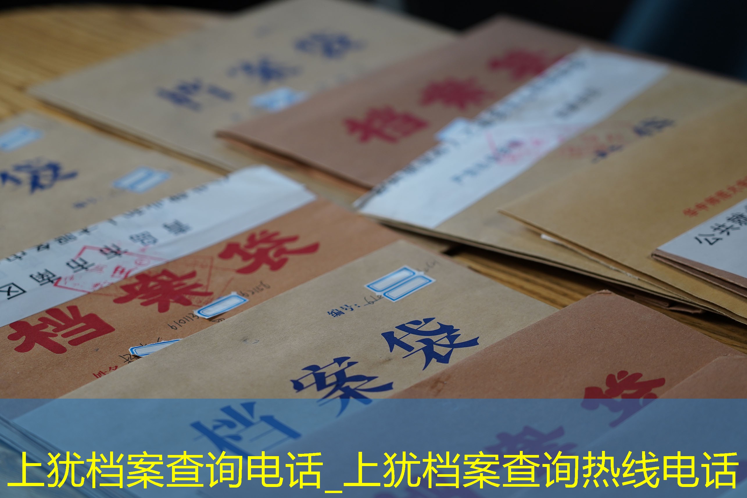 档案查询