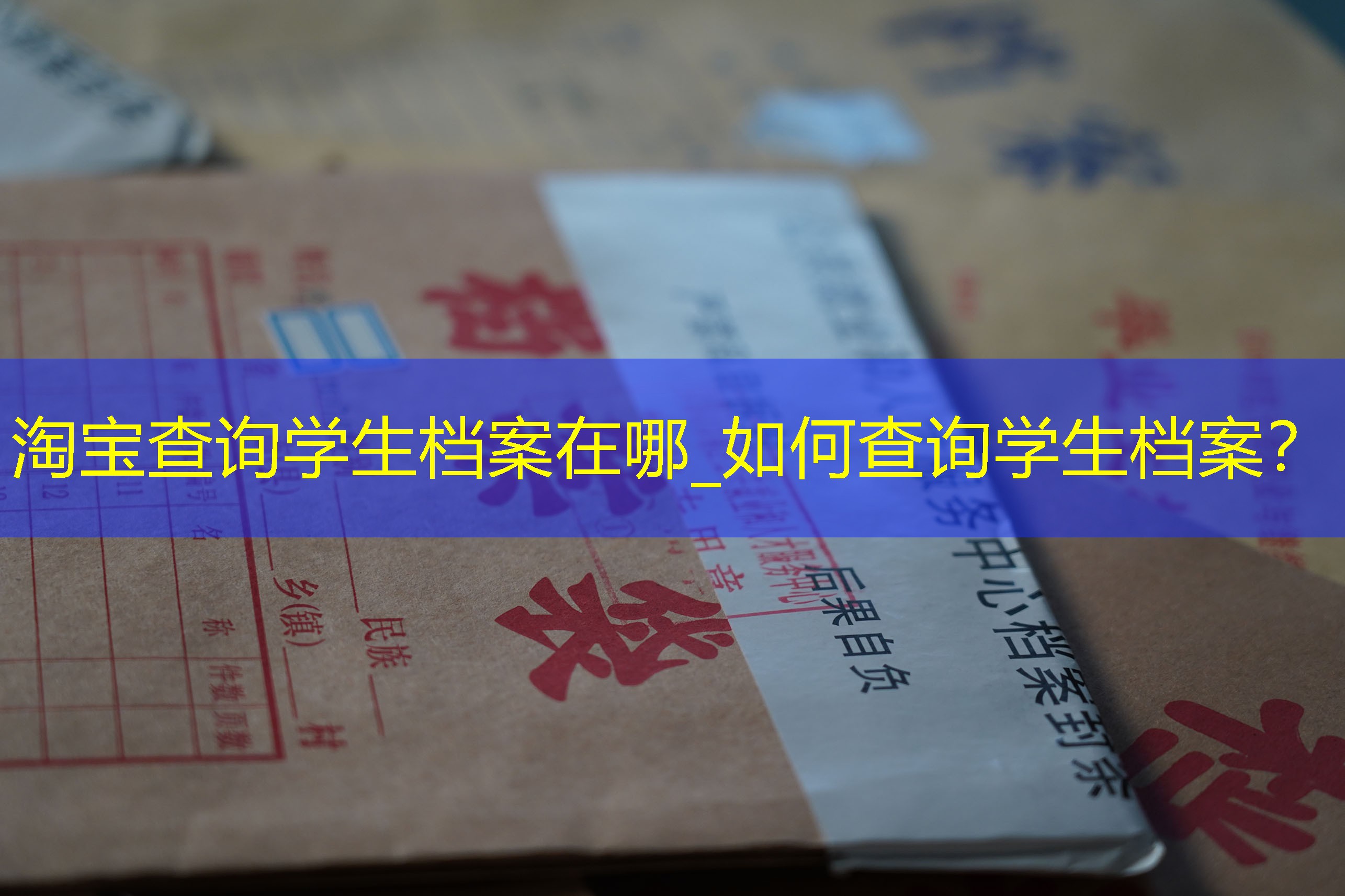 档案查询