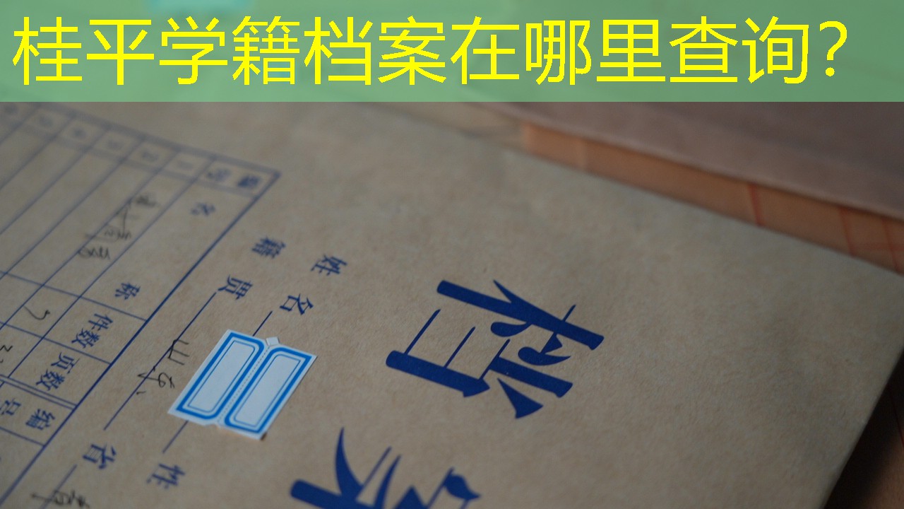 档案查询