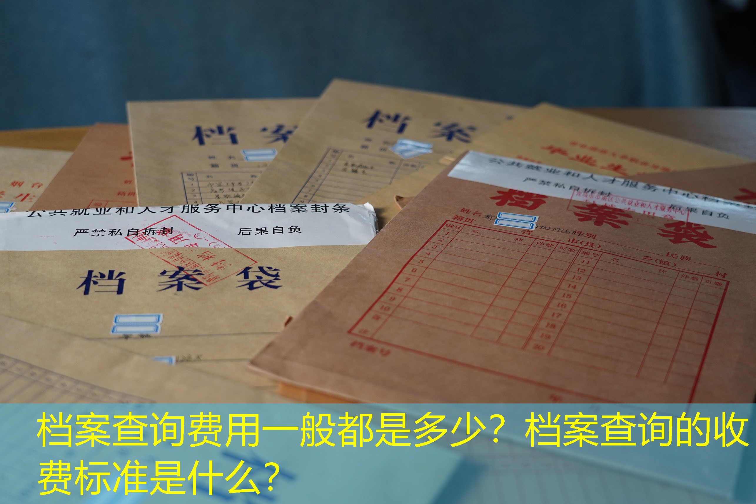档案查询