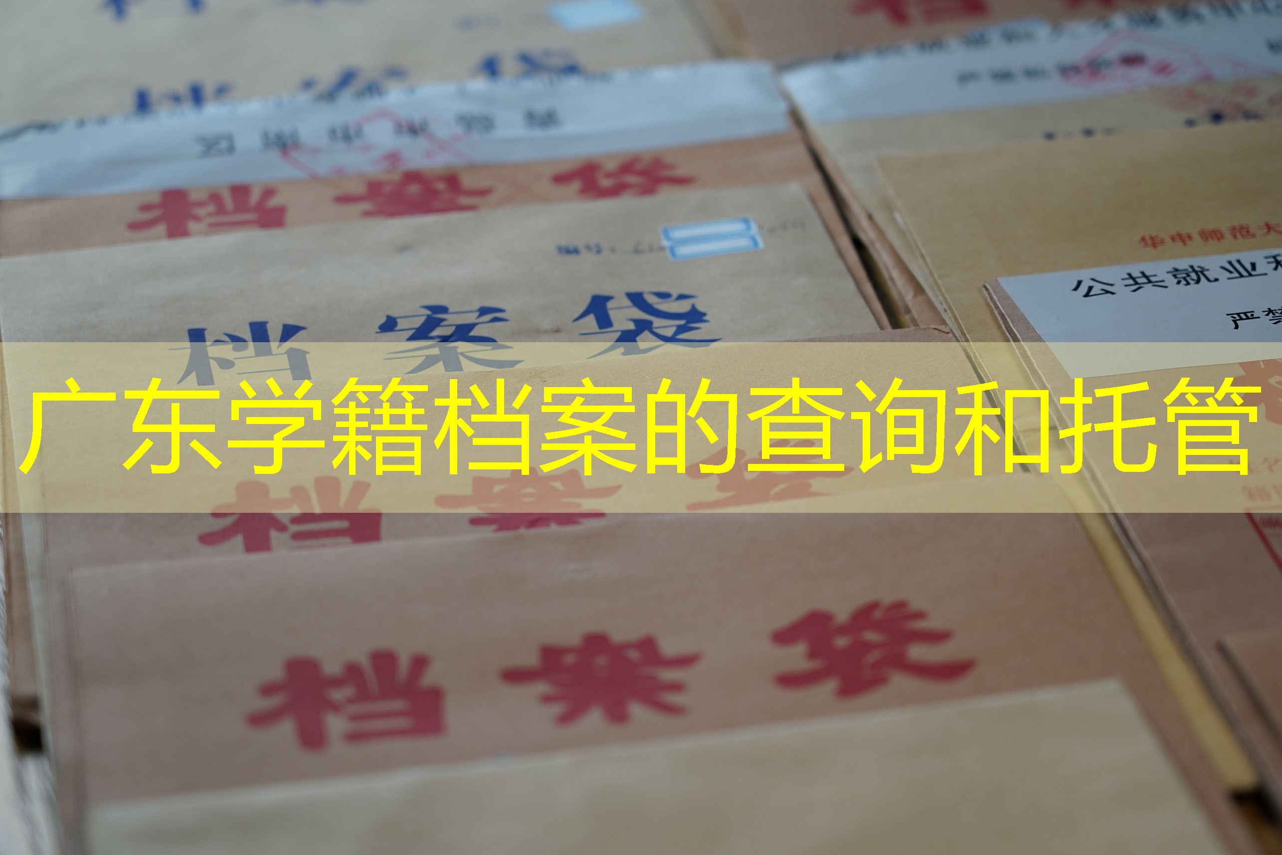 档案查询