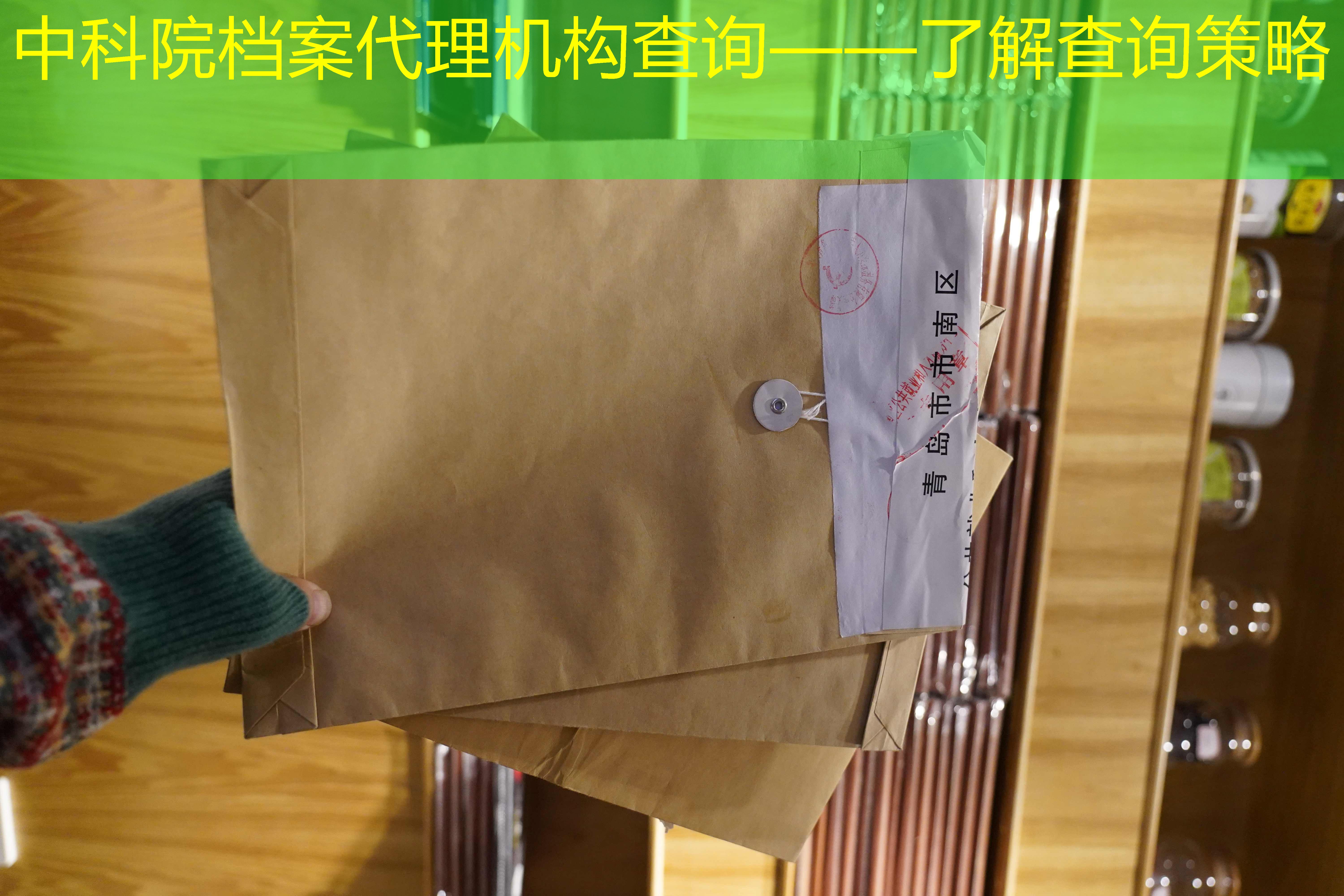档案查询