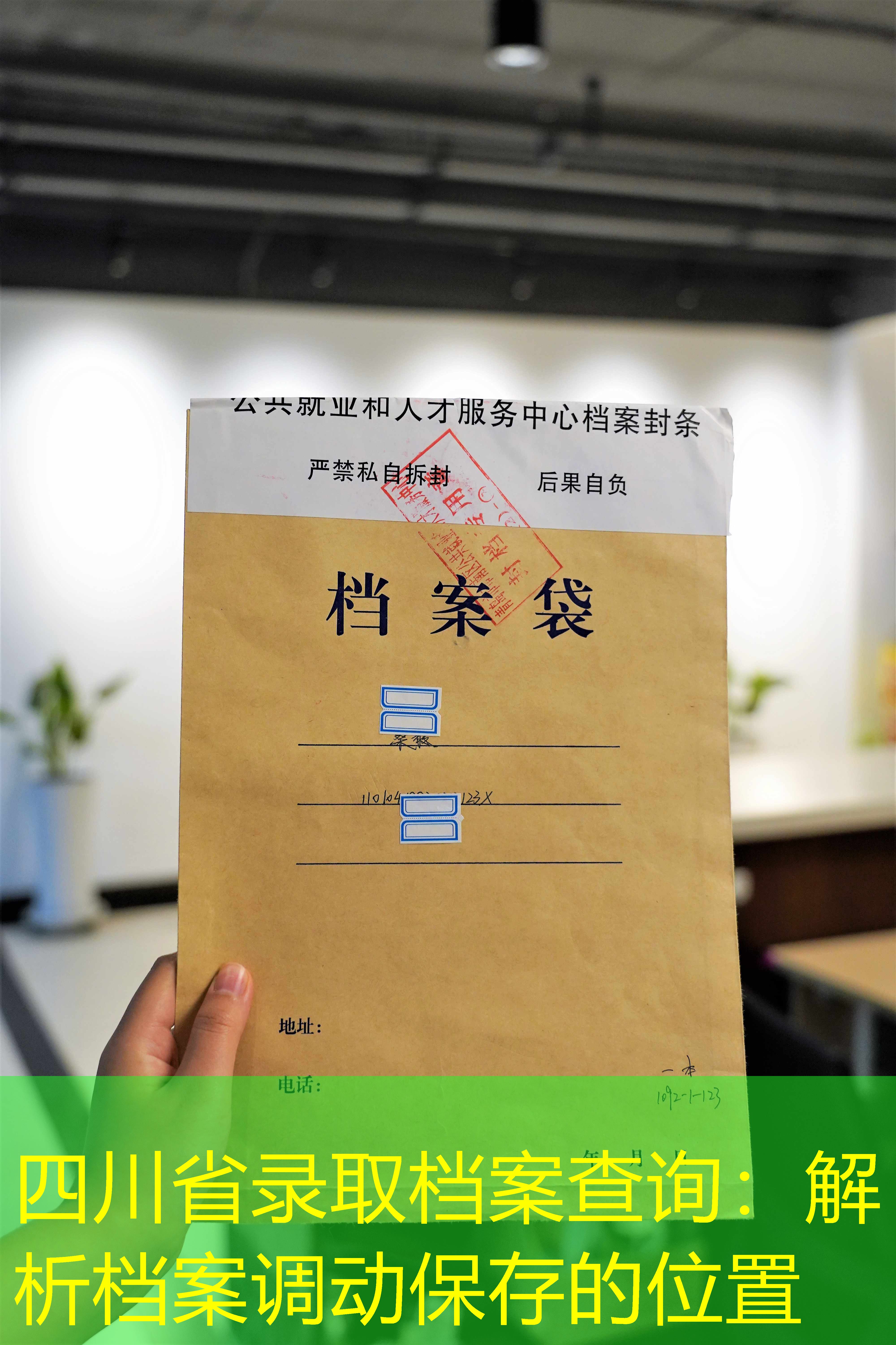 档案查询