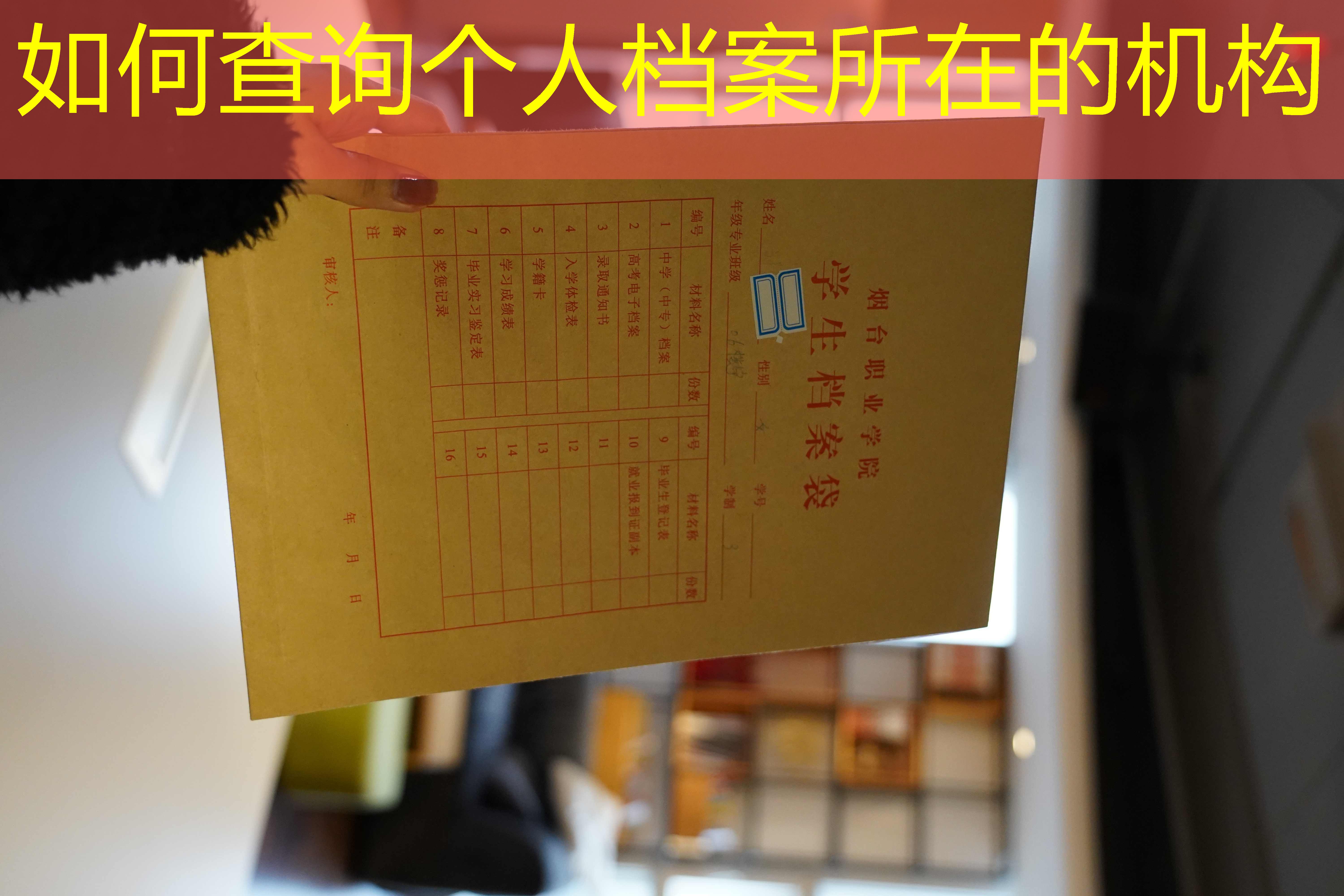 档案查询