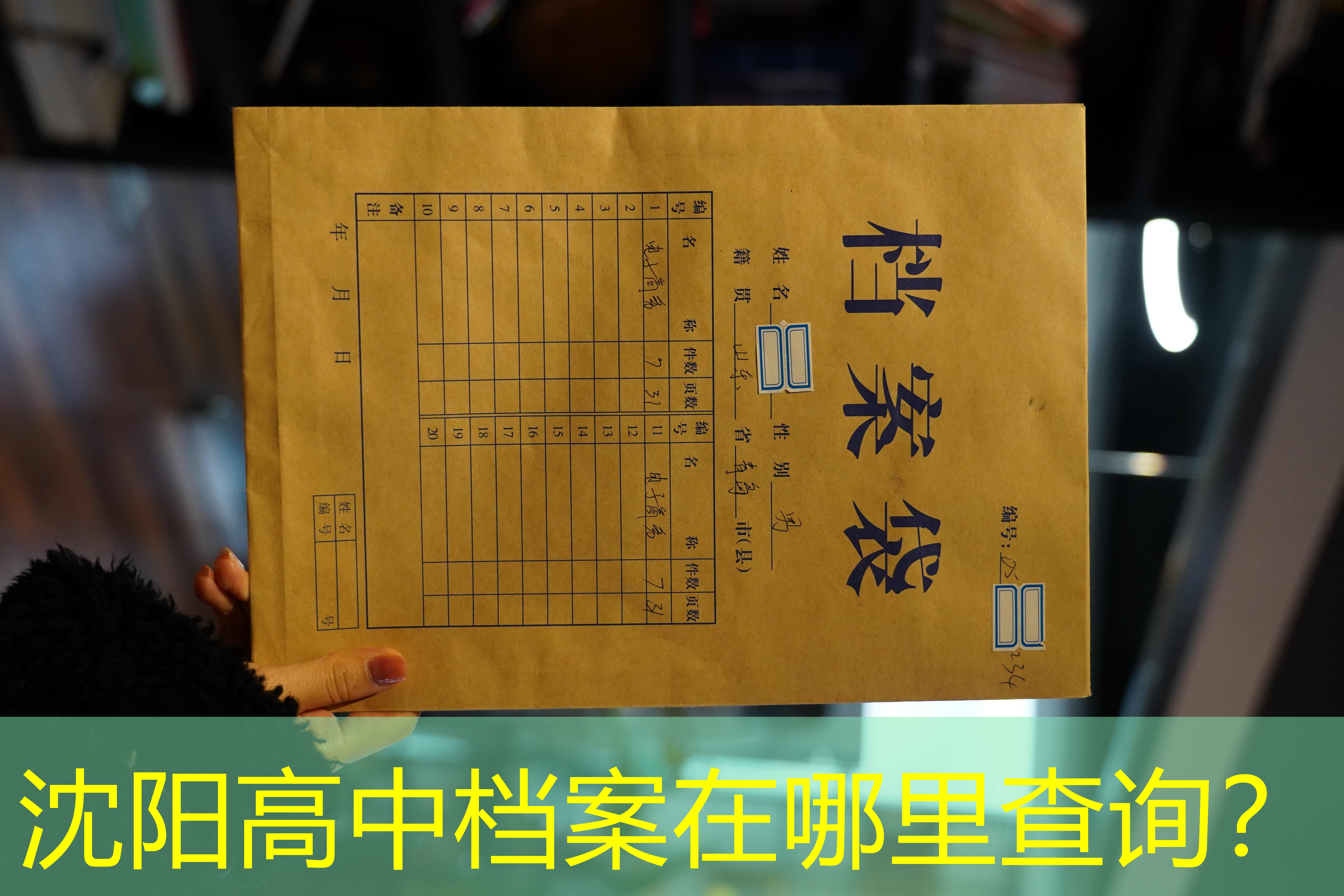 档案查询