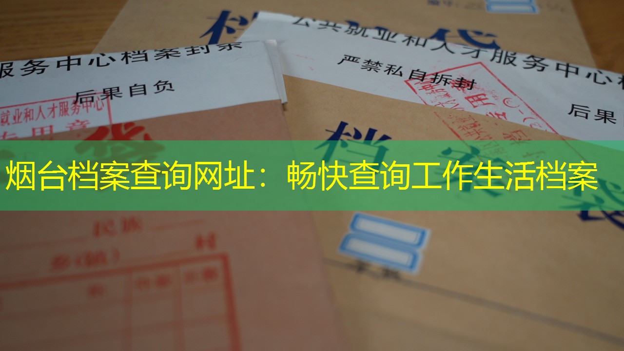 档案查询