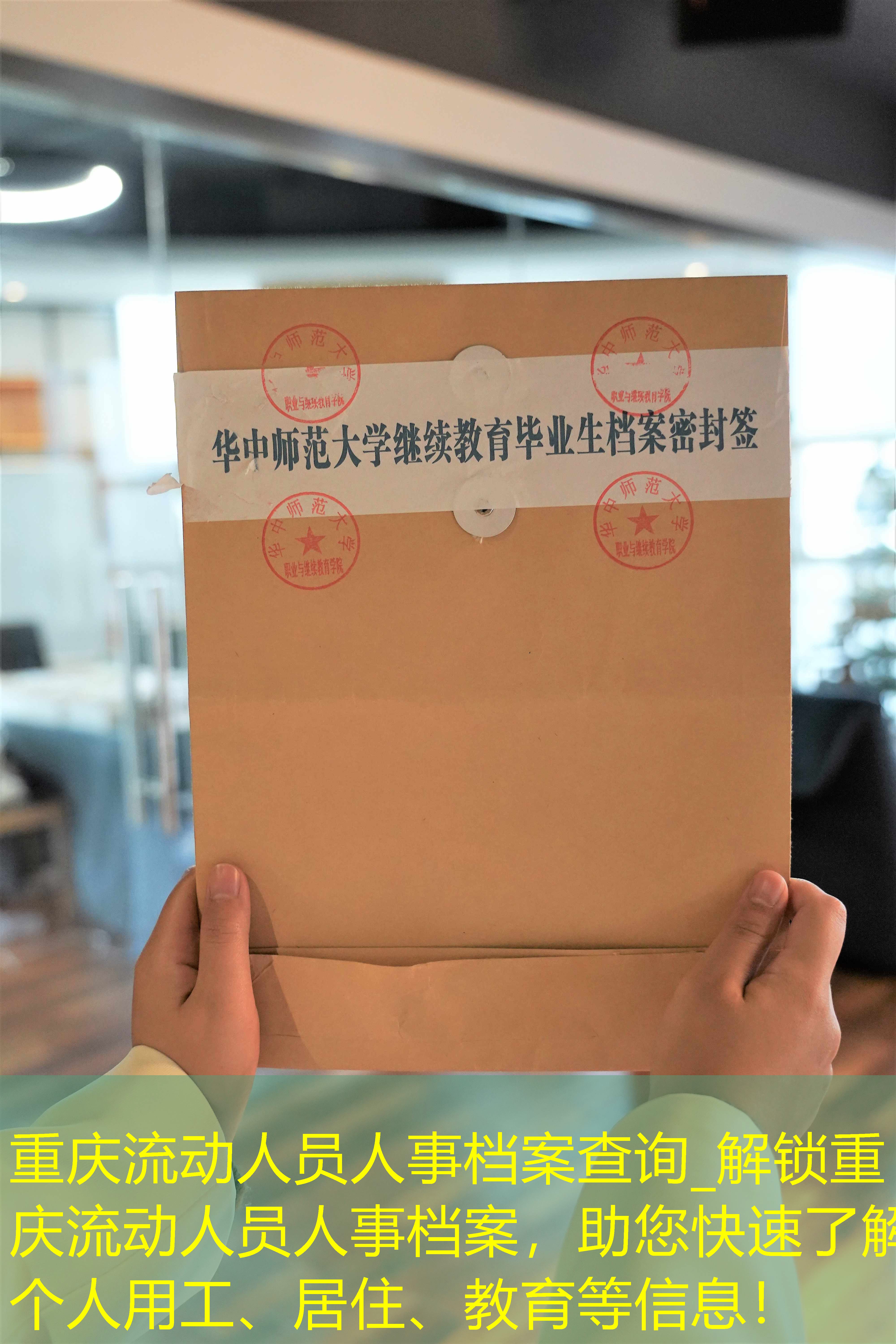 档案查询