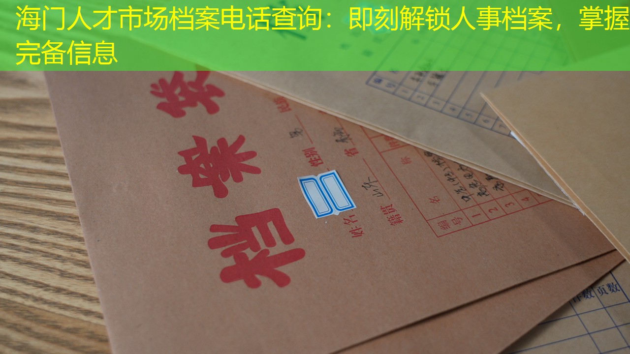 档案查询