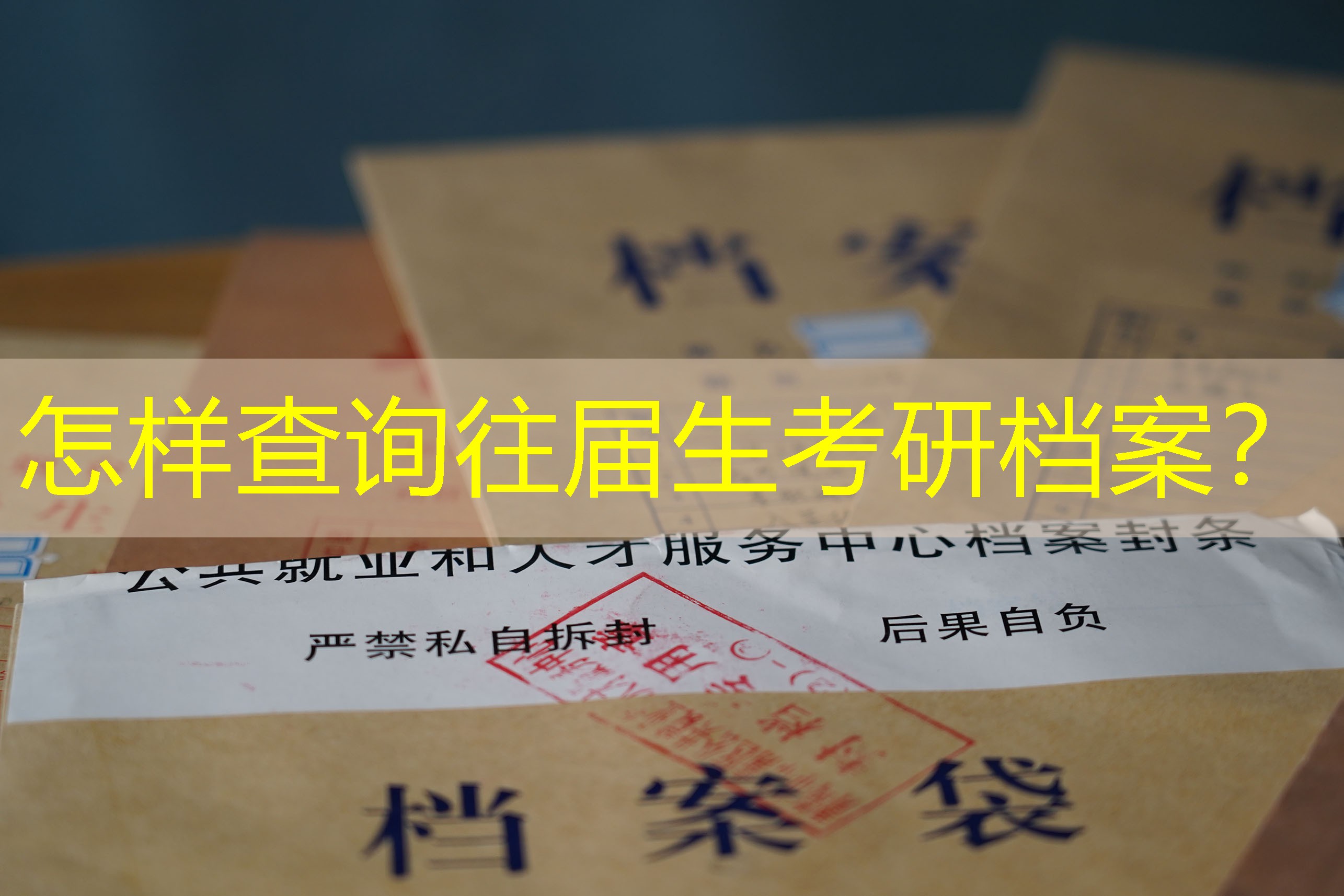 档案查询