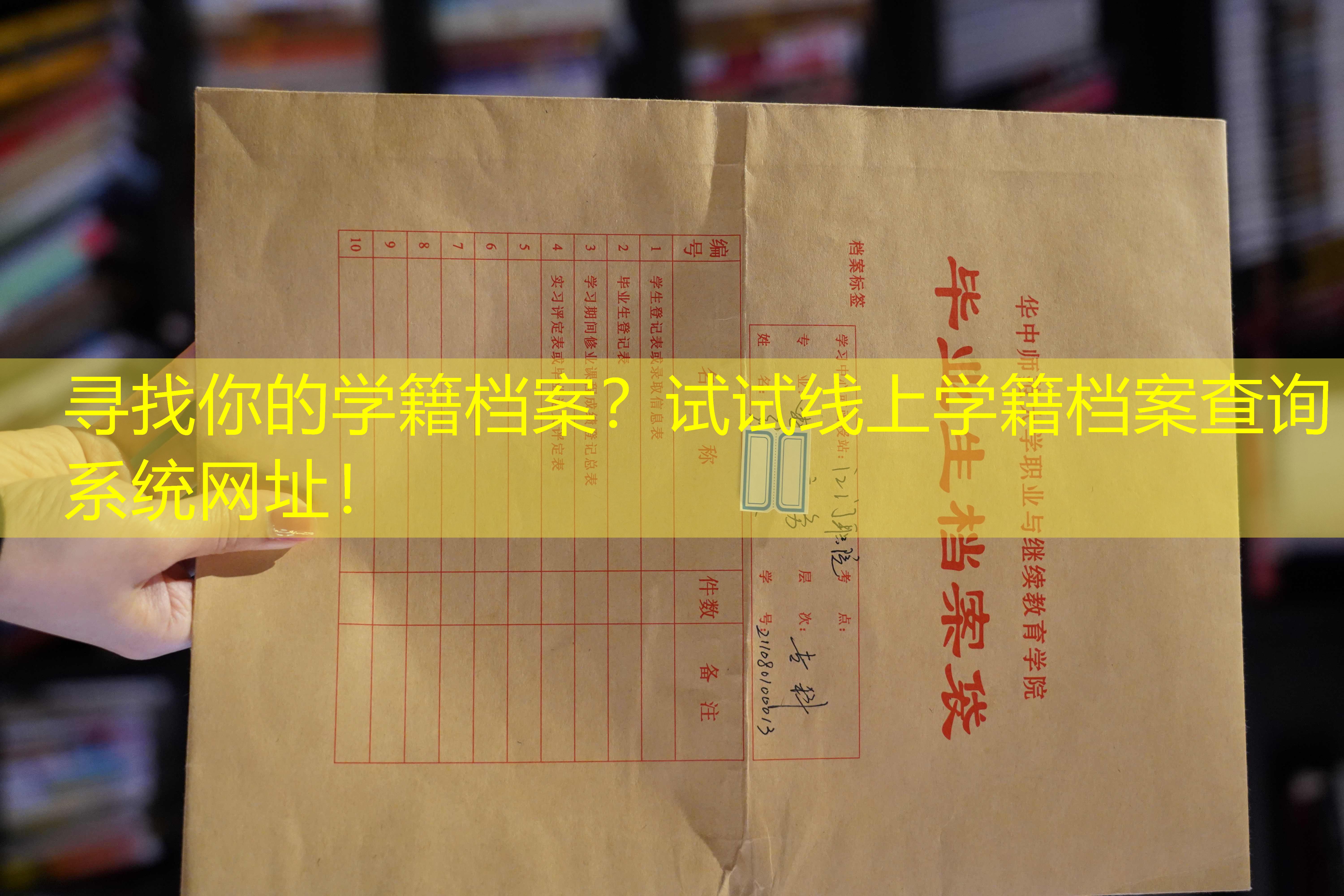 档案查询