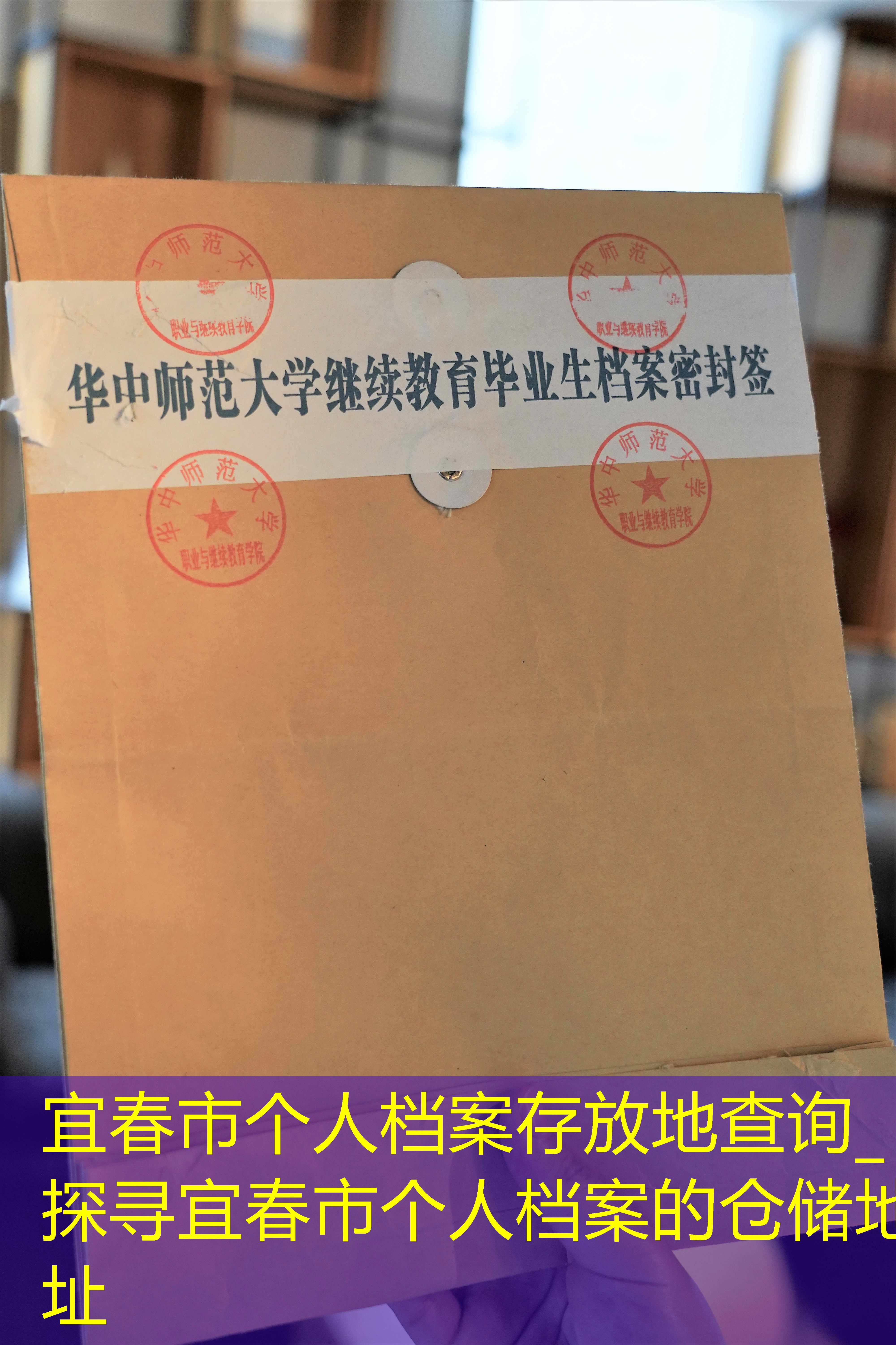 档案查询