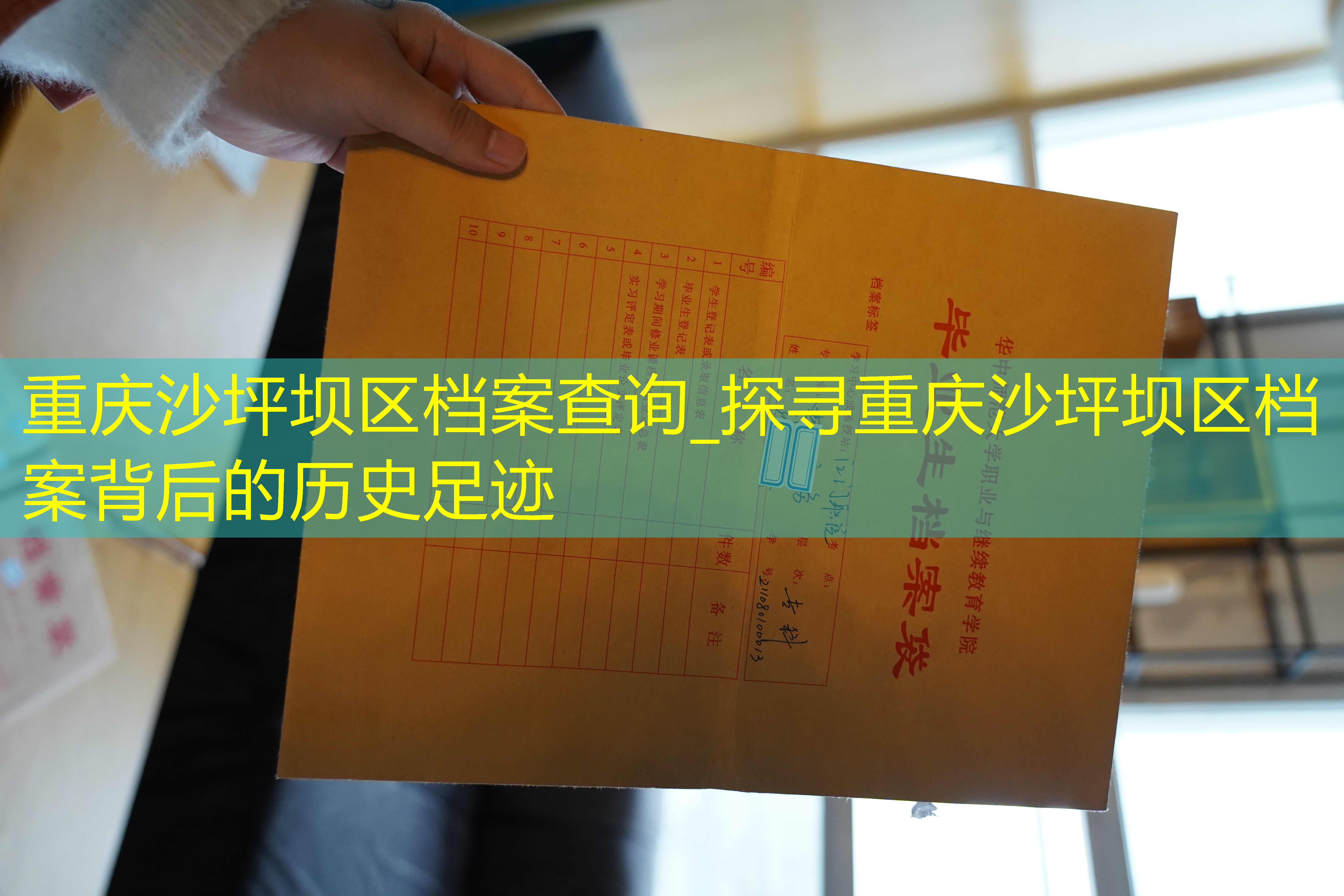 档案查询