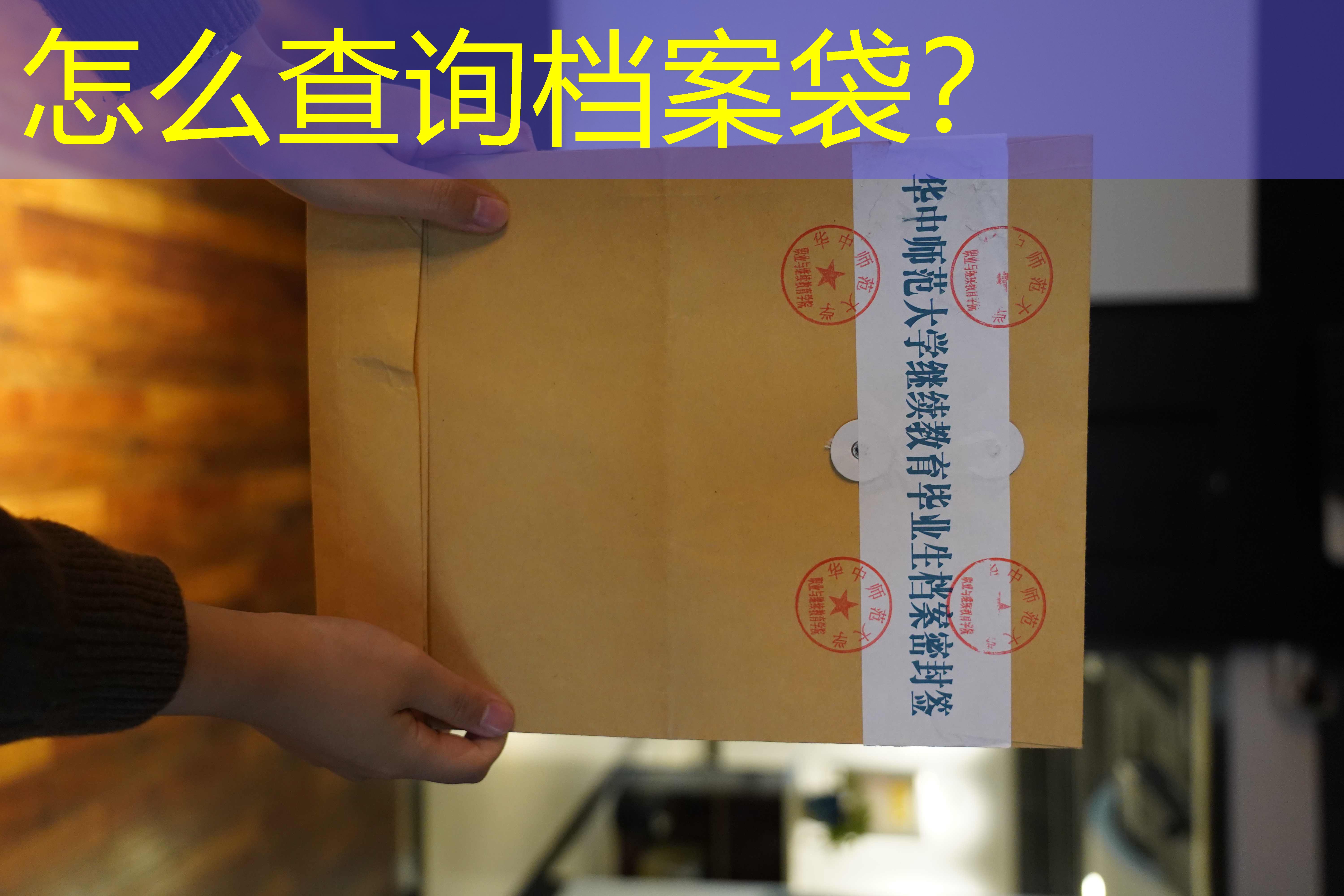 档案查询