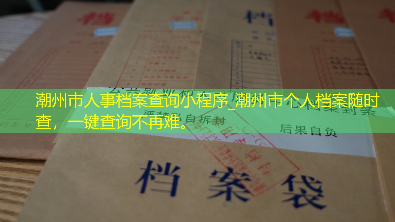 档案查询
