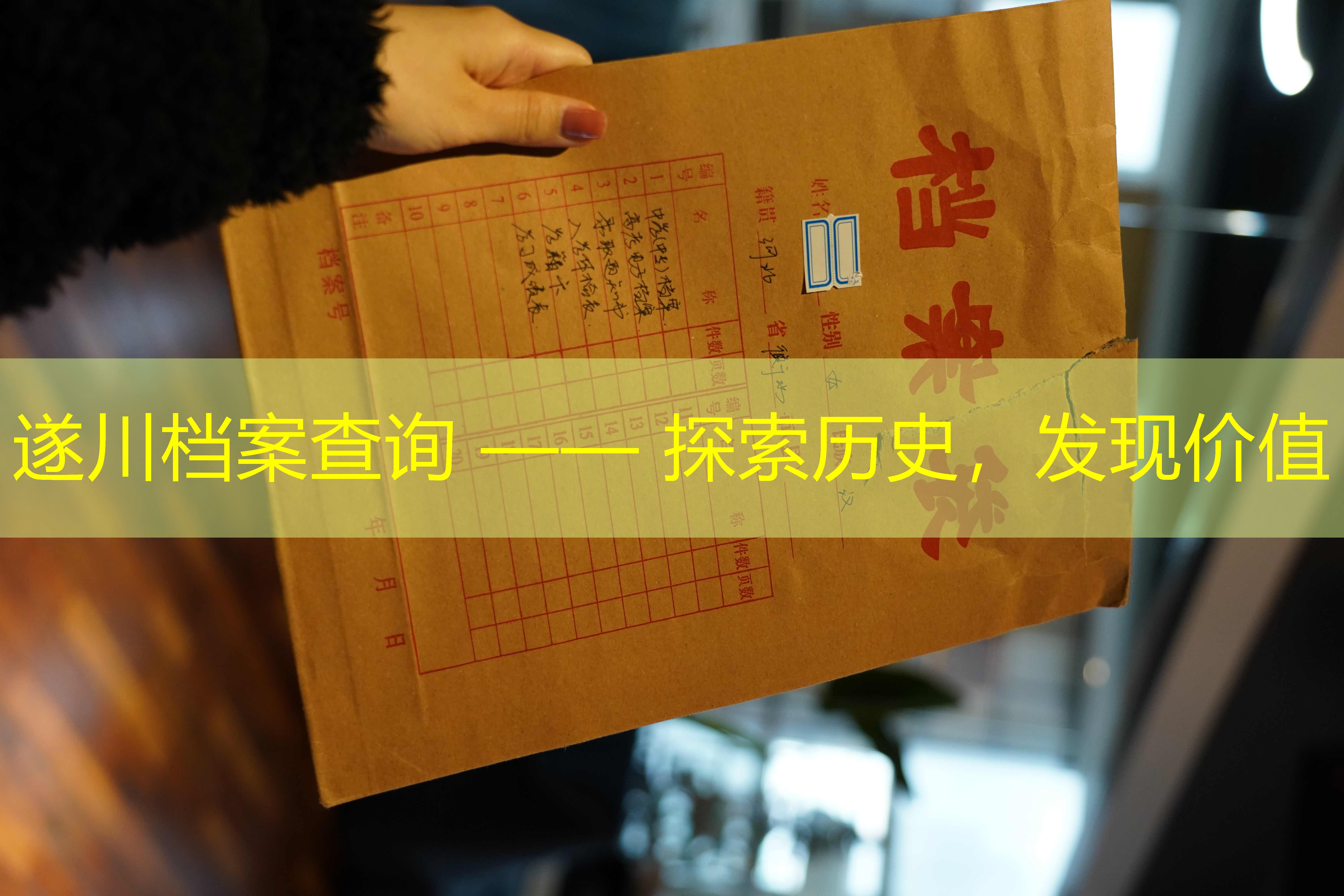 档案查询