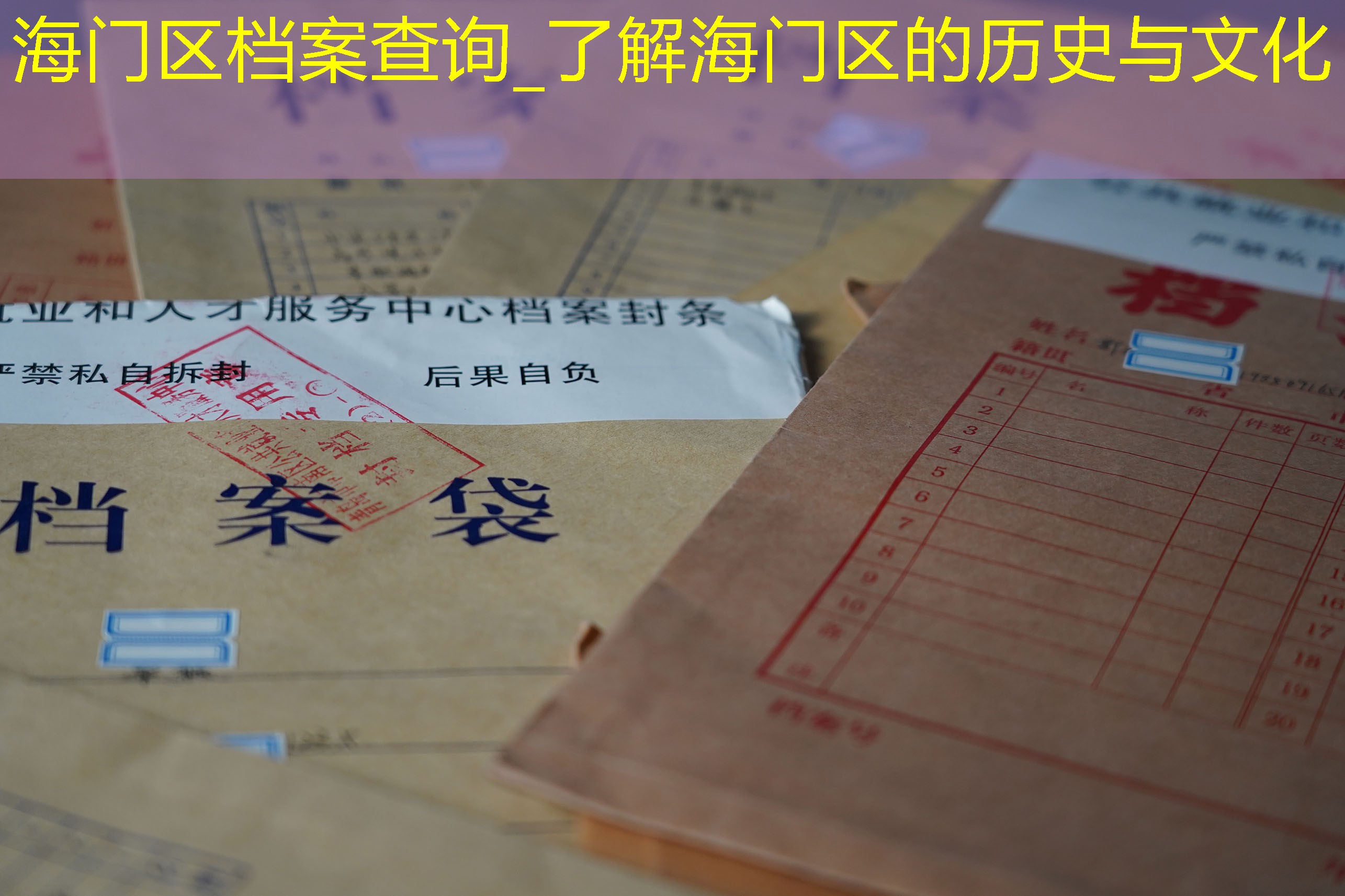 档案查询