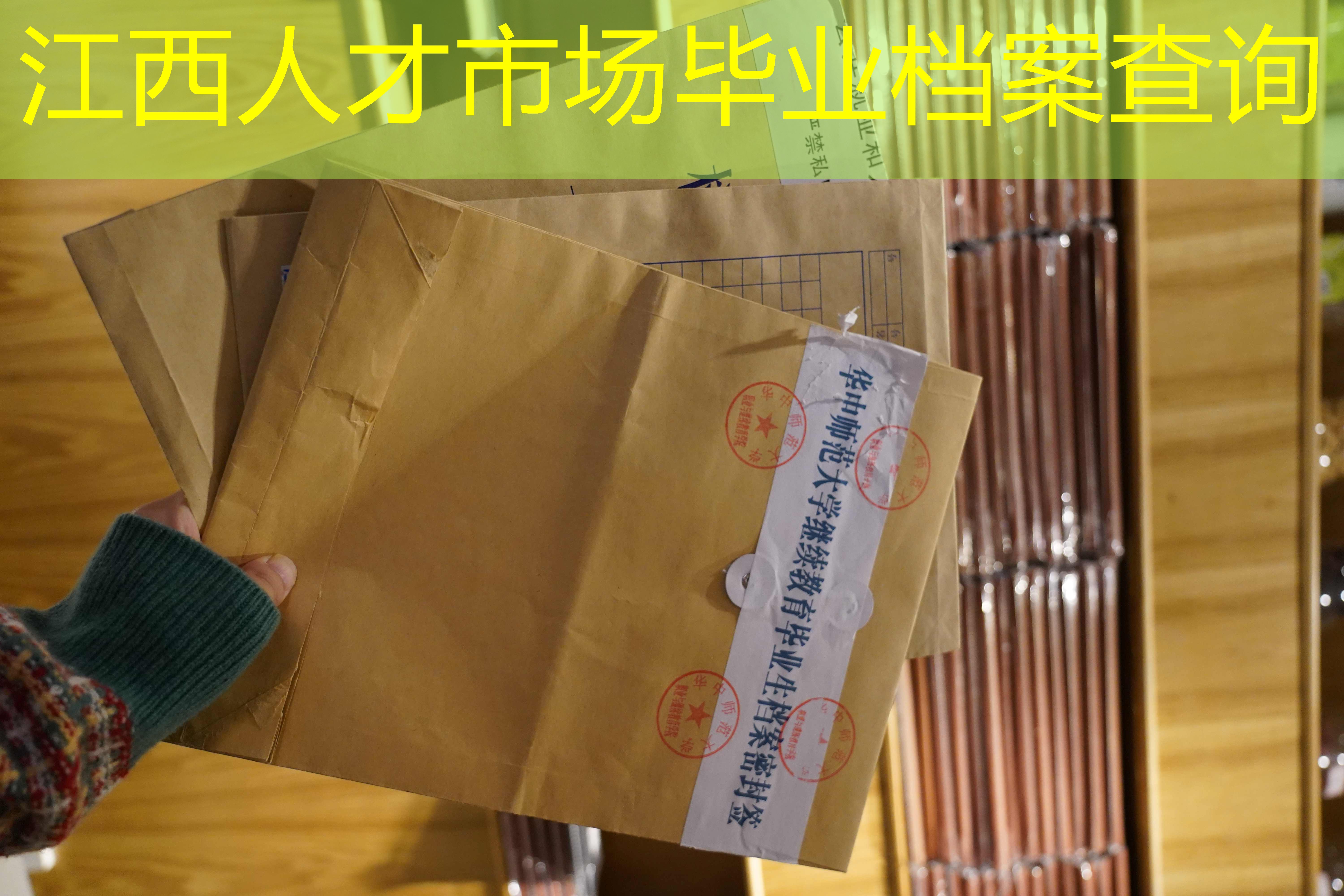 档案查询