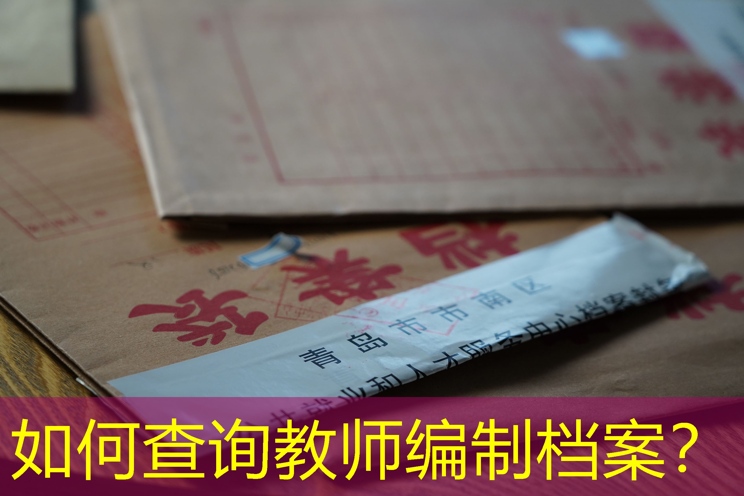 档案查询