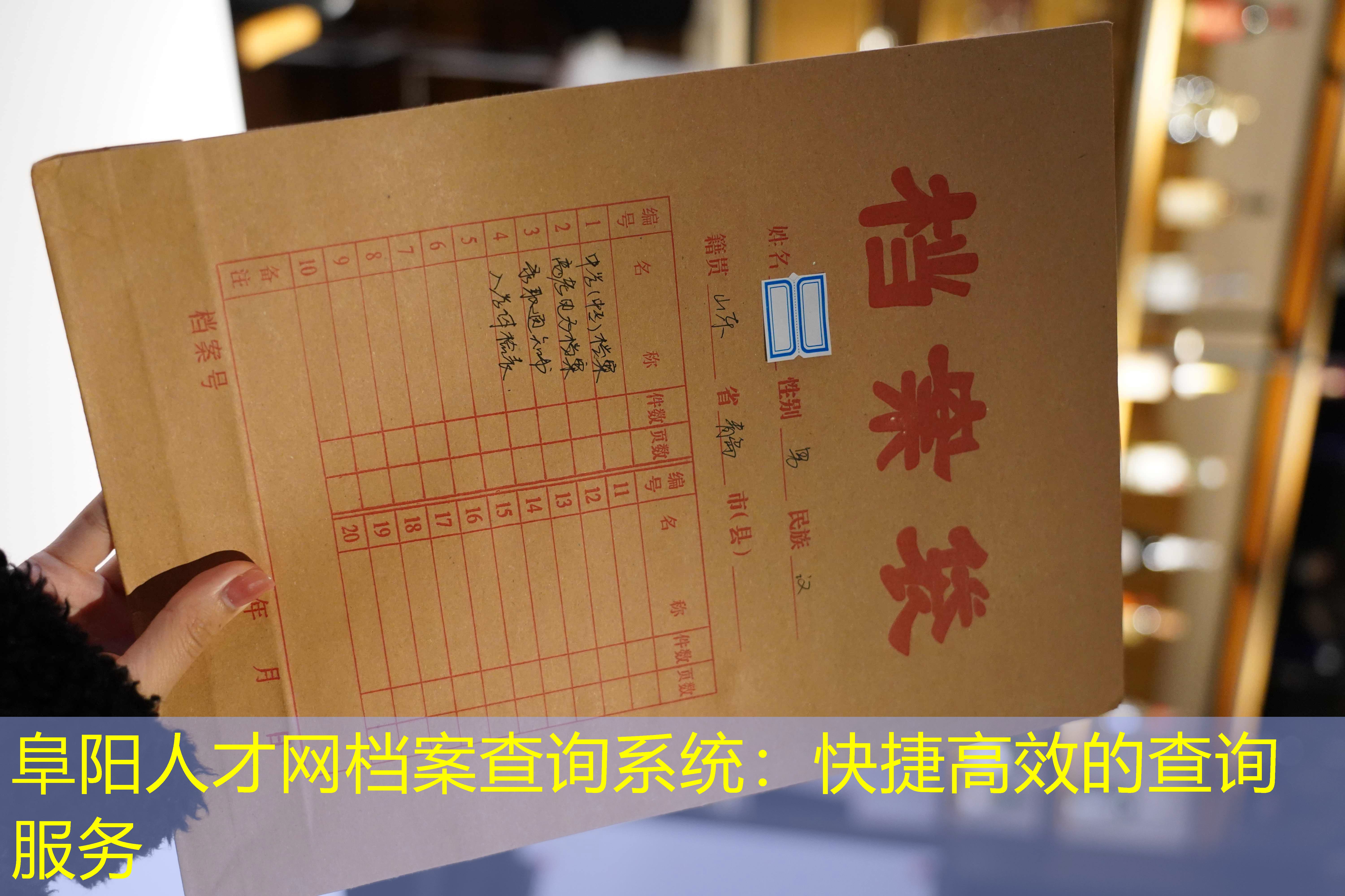 档案查询