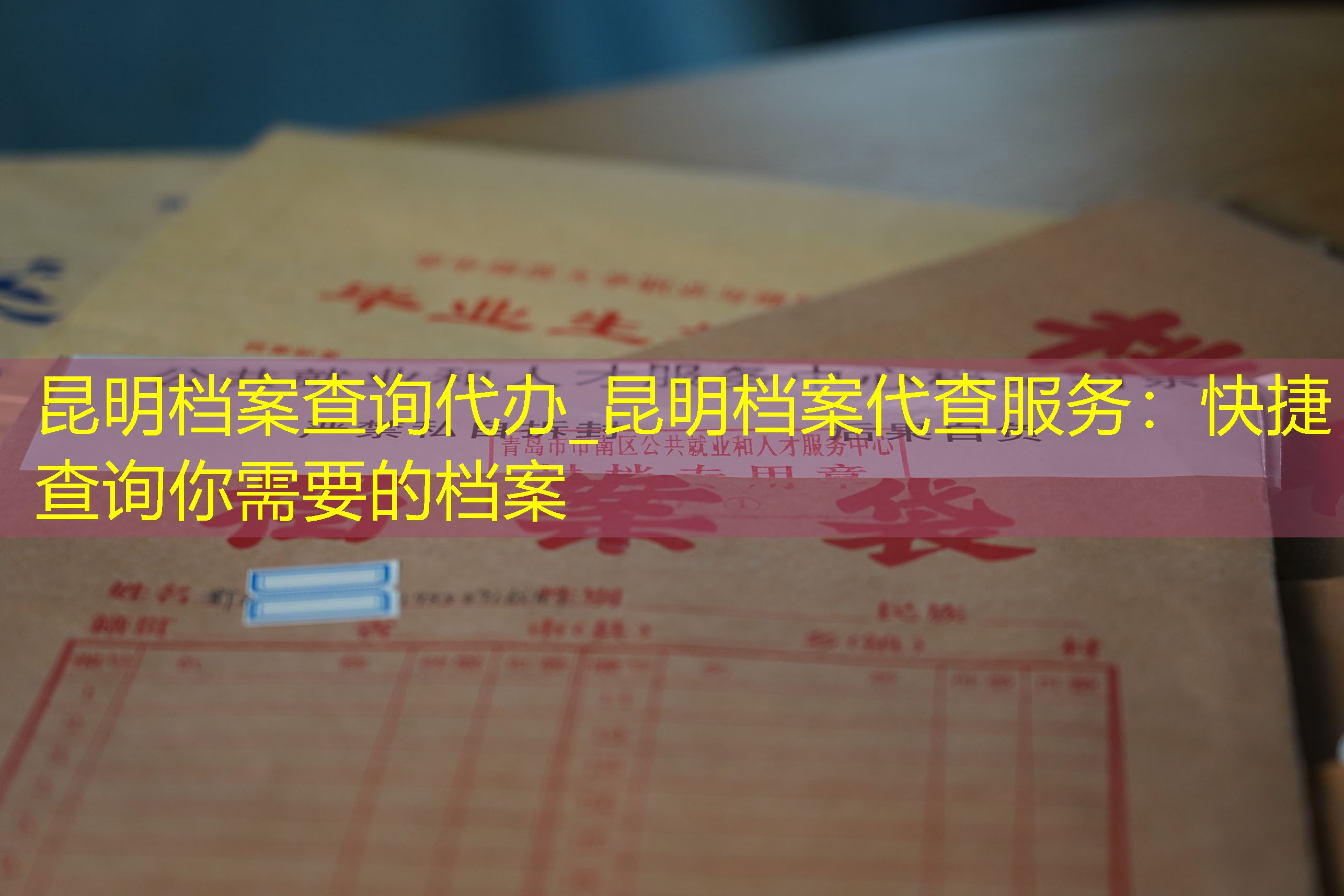 档案查询