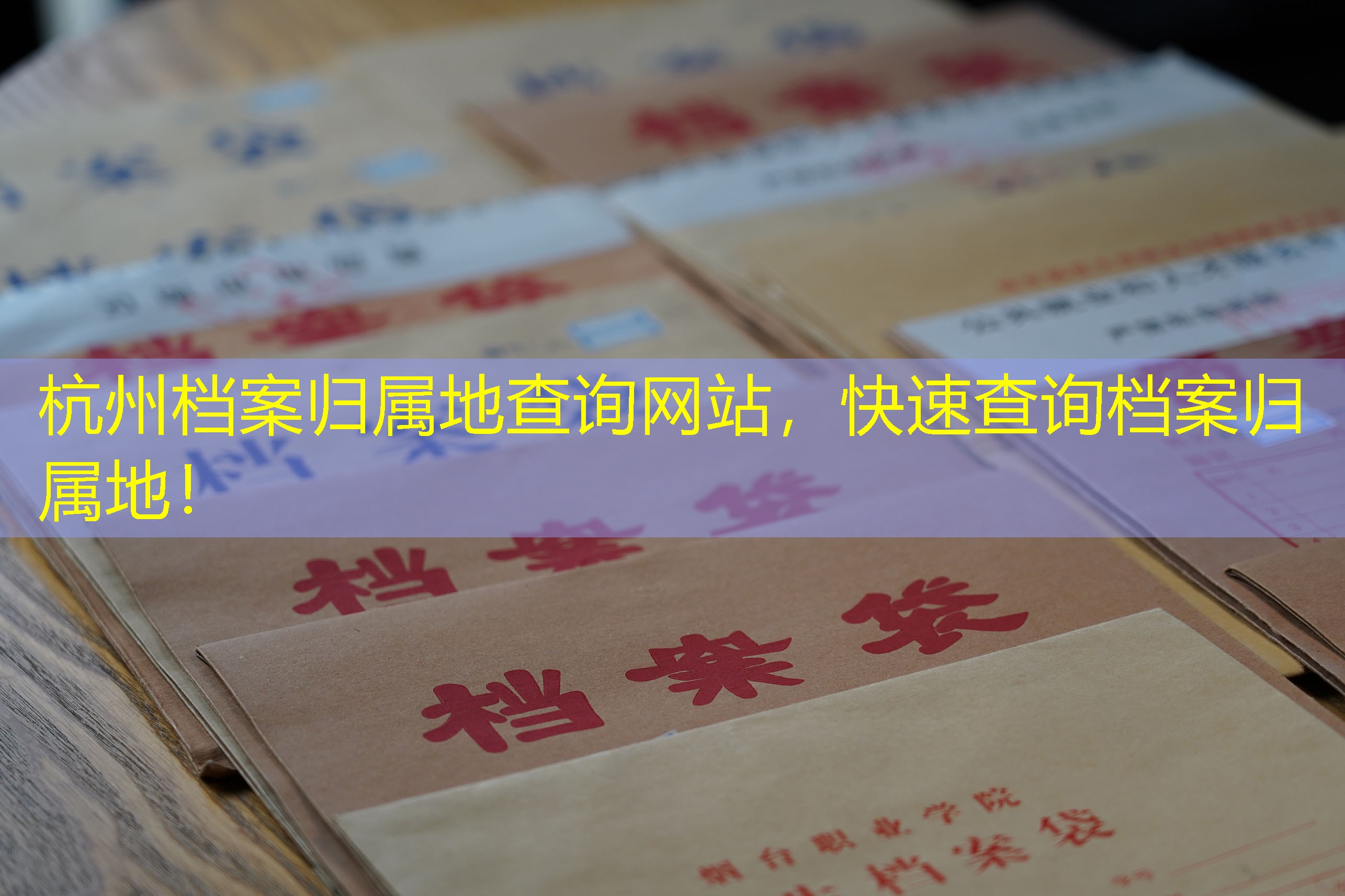 档案查询