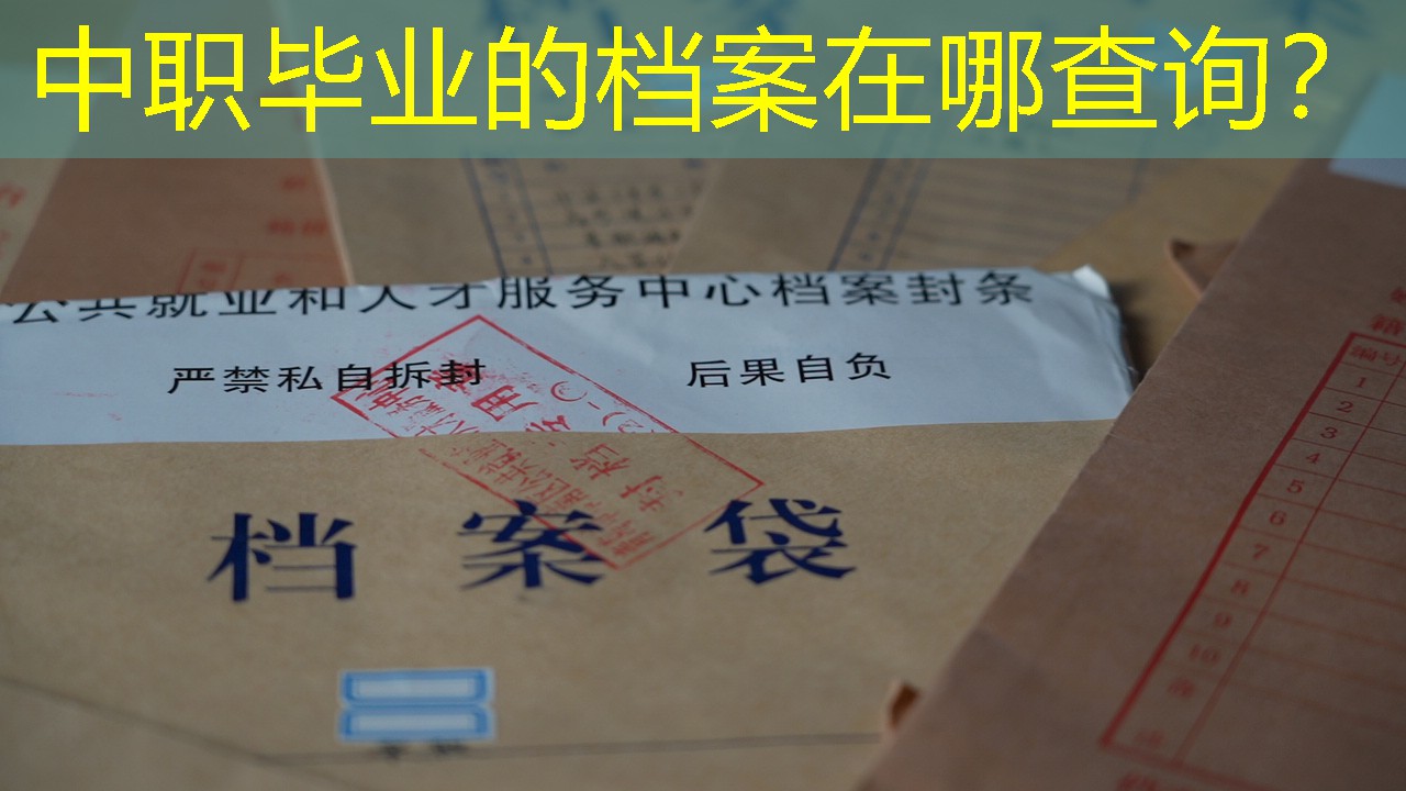档案查询