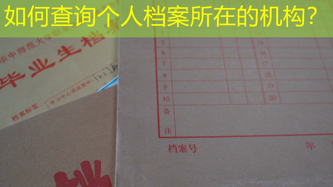 档案查询