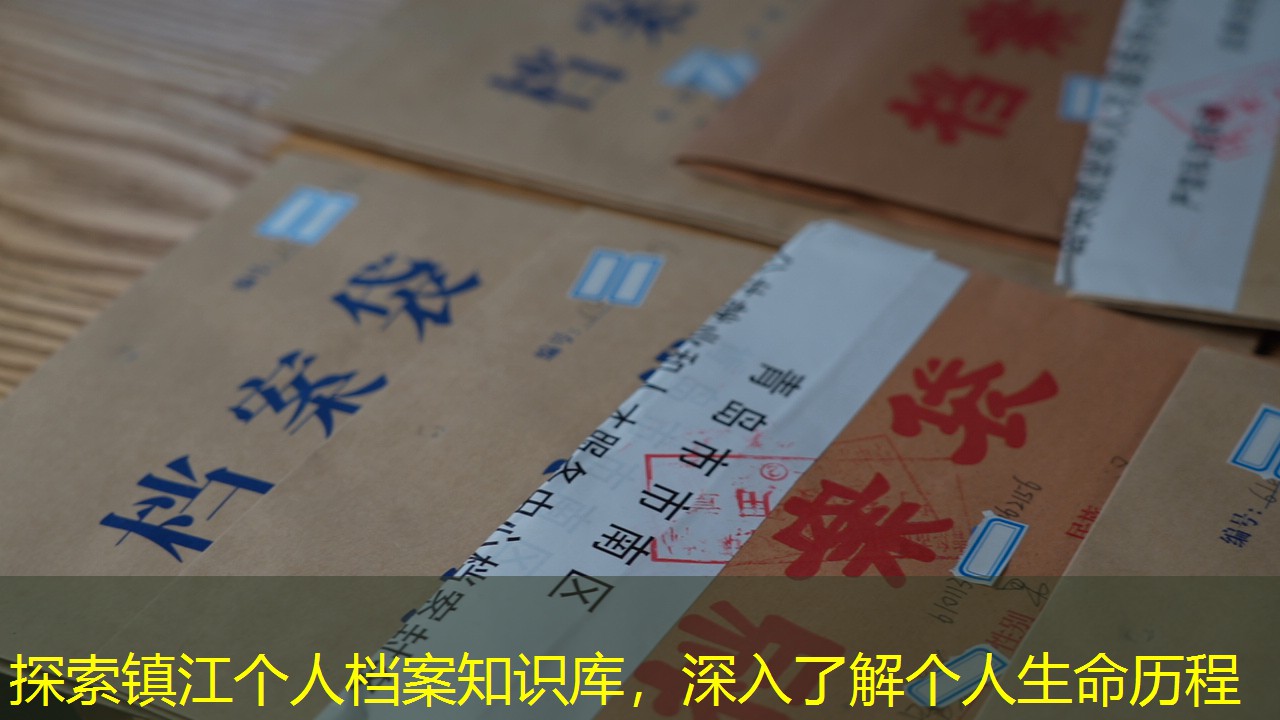 档案查询