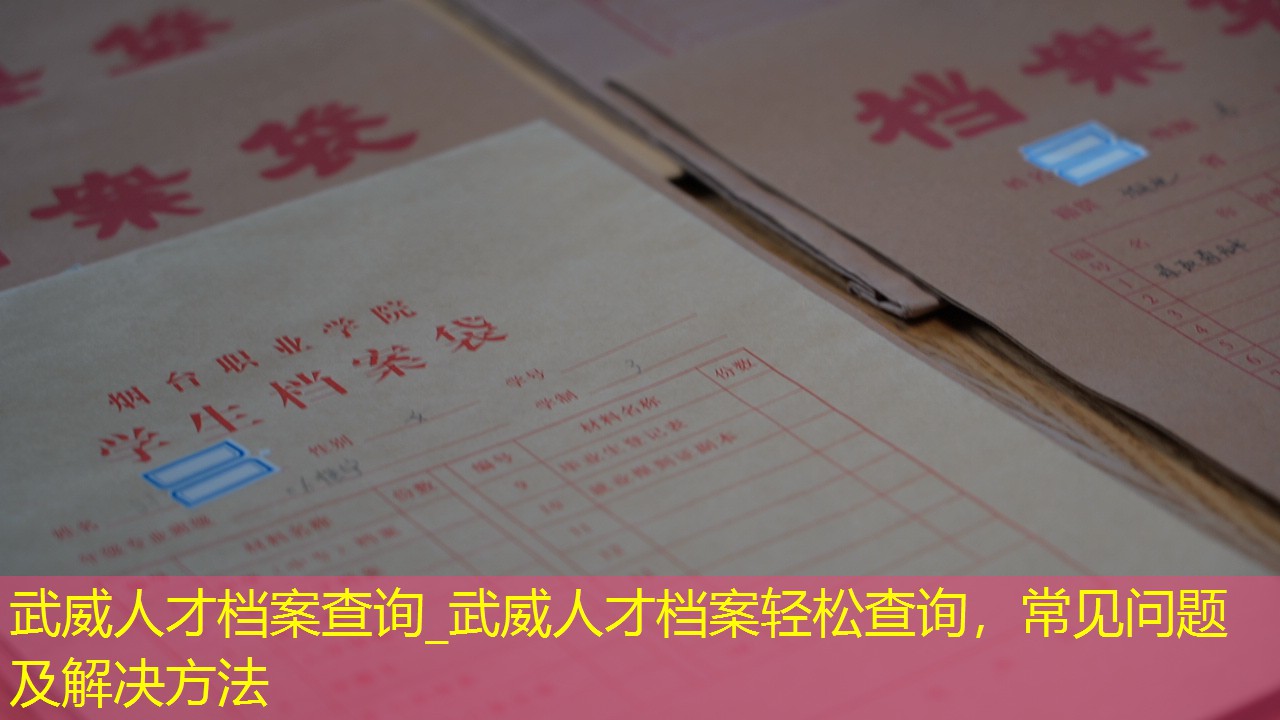 档案查询