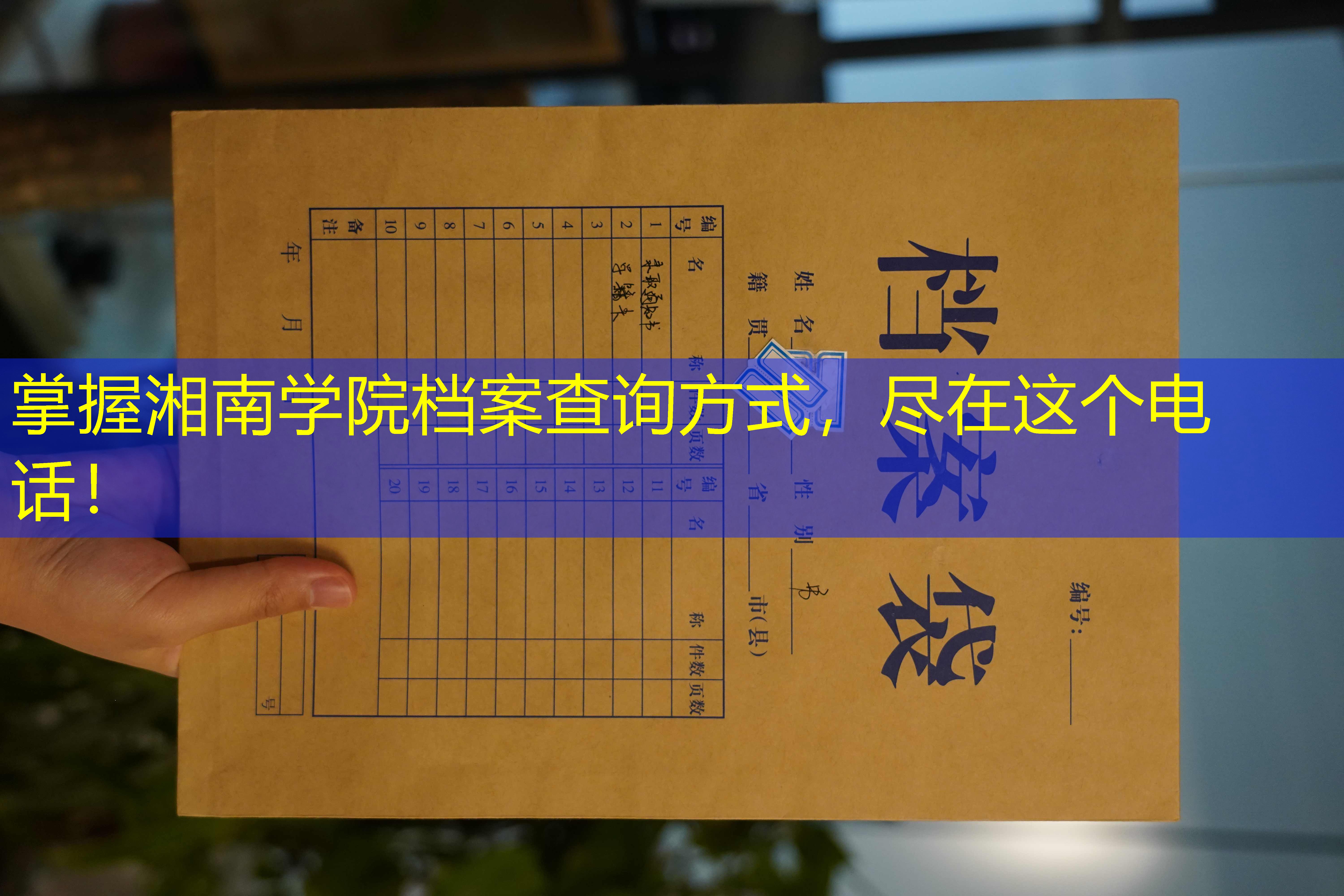 档案查询