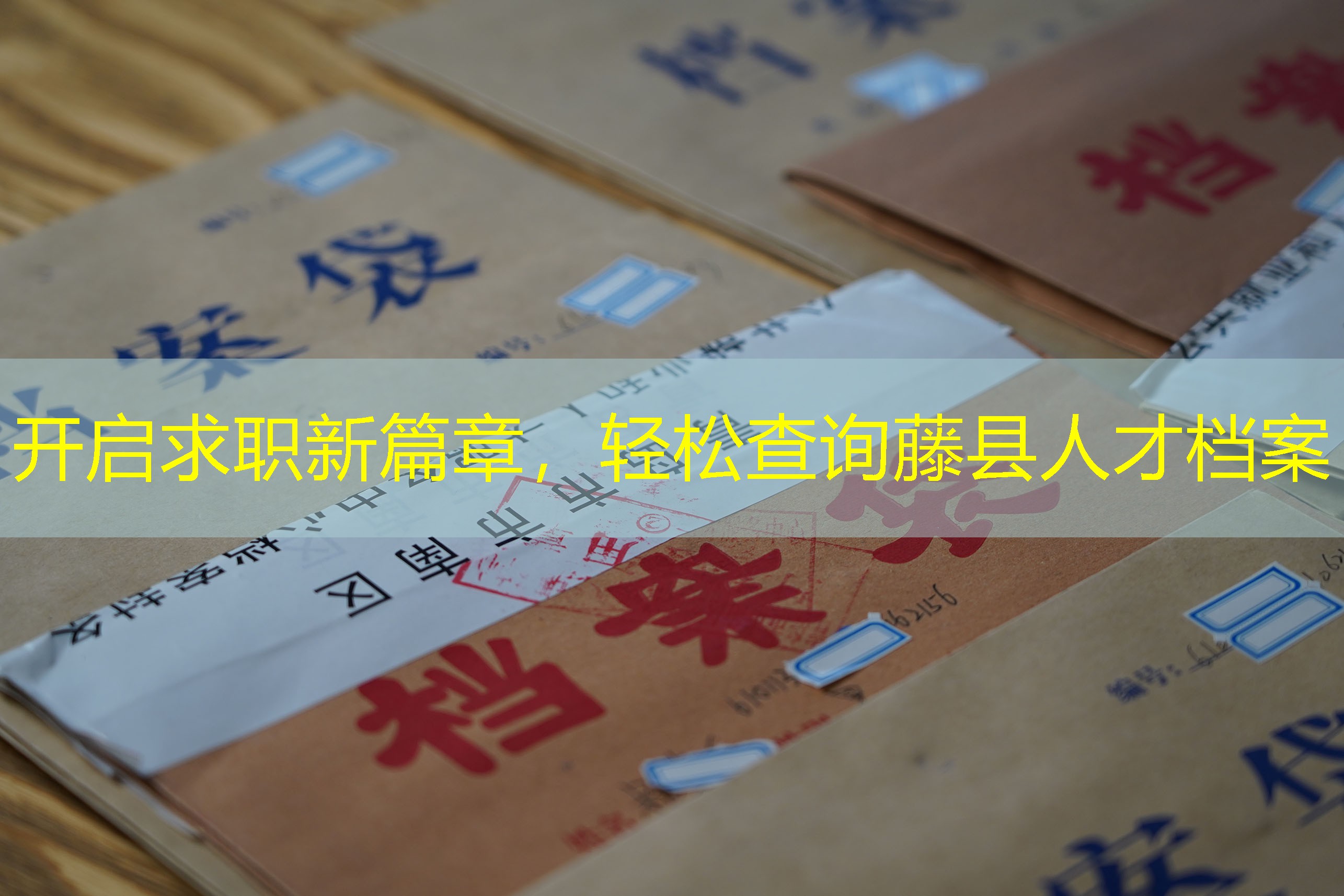 档案查询