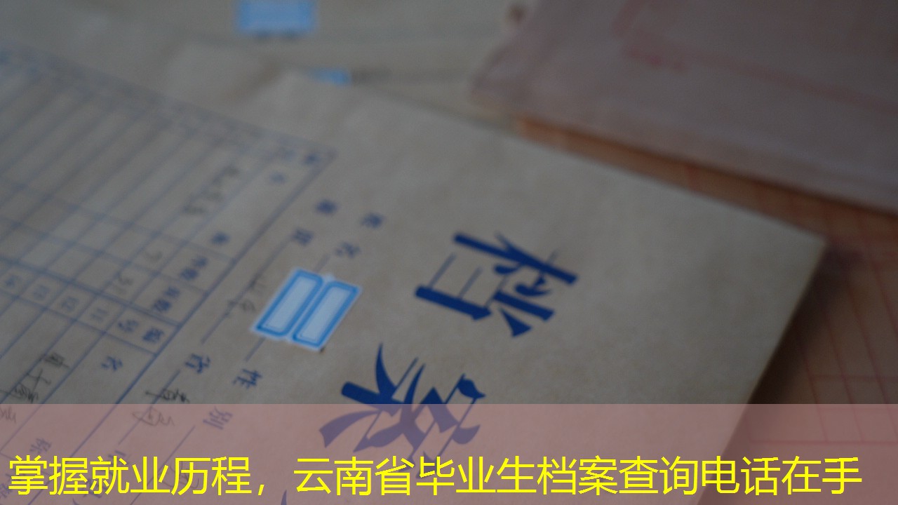 档案查询