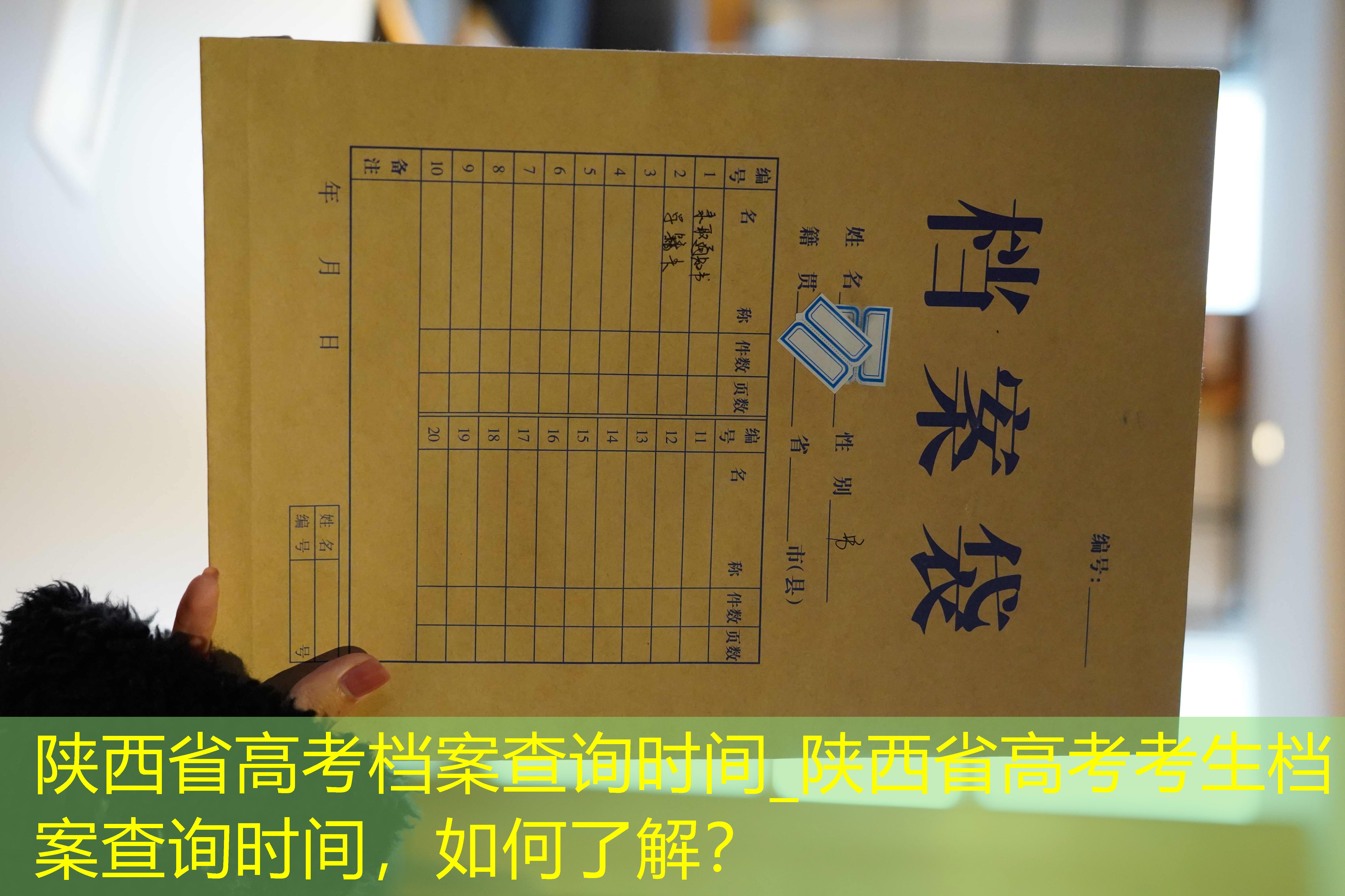 档案查询